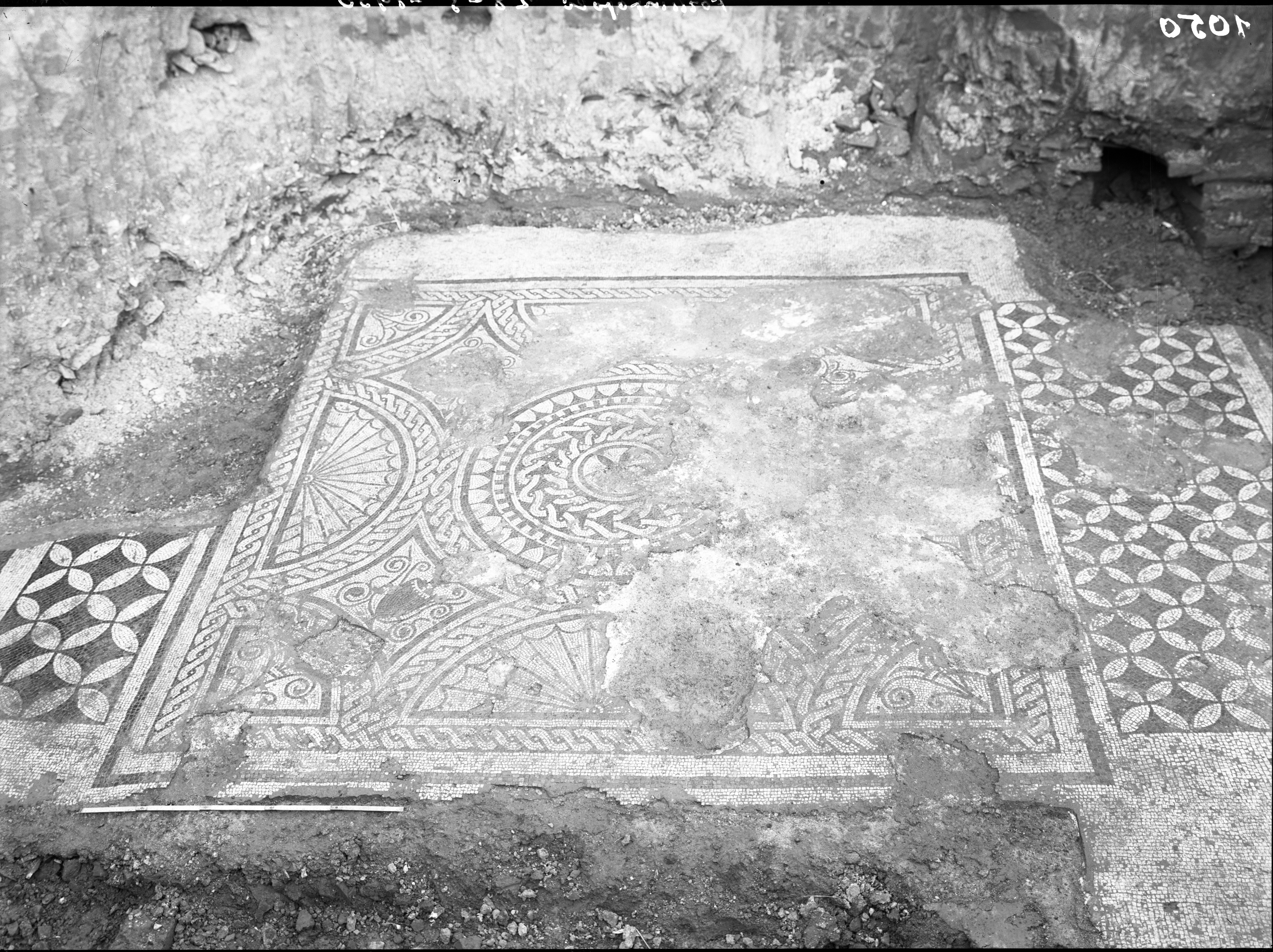 Forlimpopoli. Scavi (lastra) di Anonimo (prima metà XX)