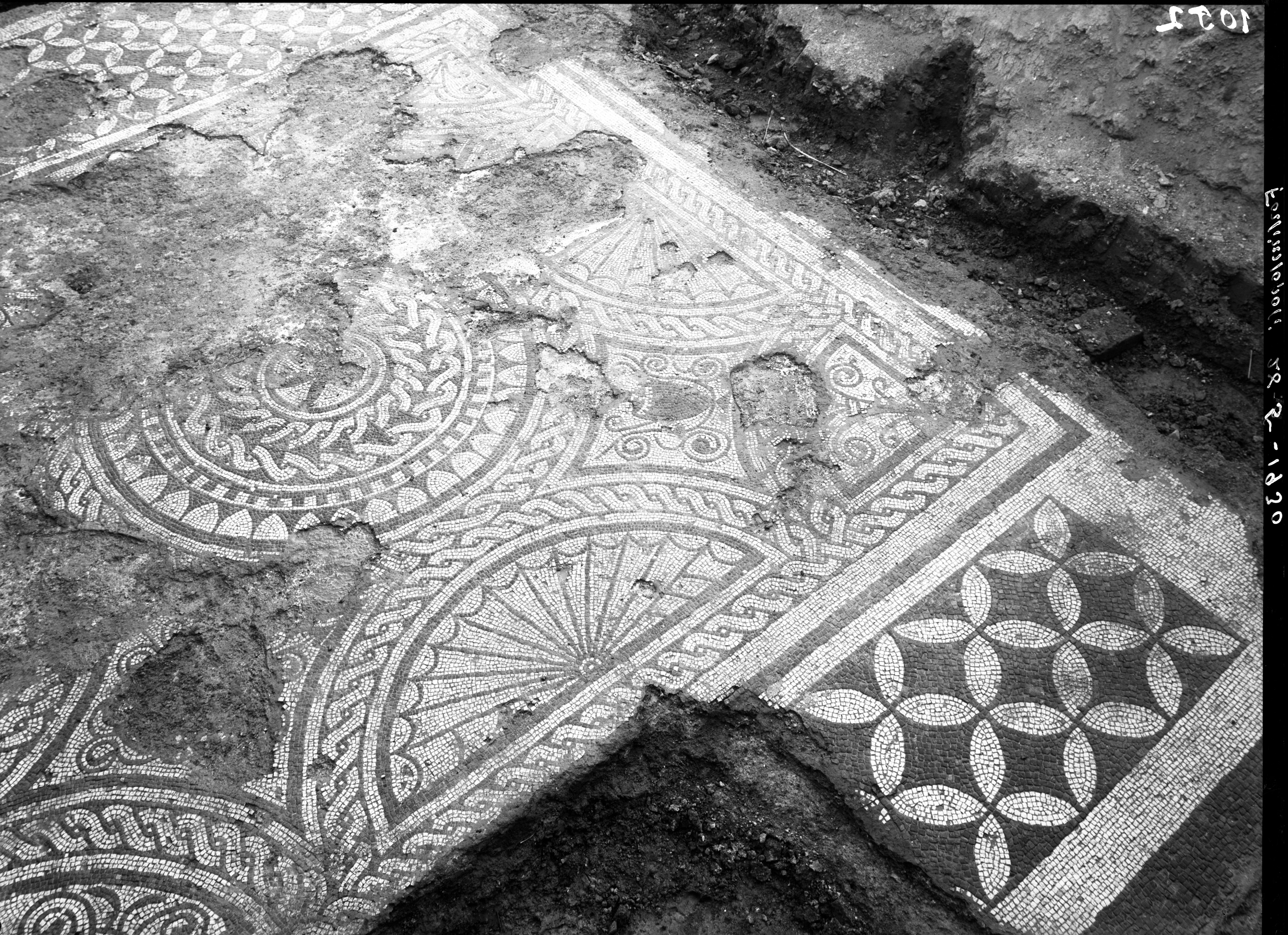 Forlimpopoli. Scavi (lastra) di Anonimo (prima metà XX)