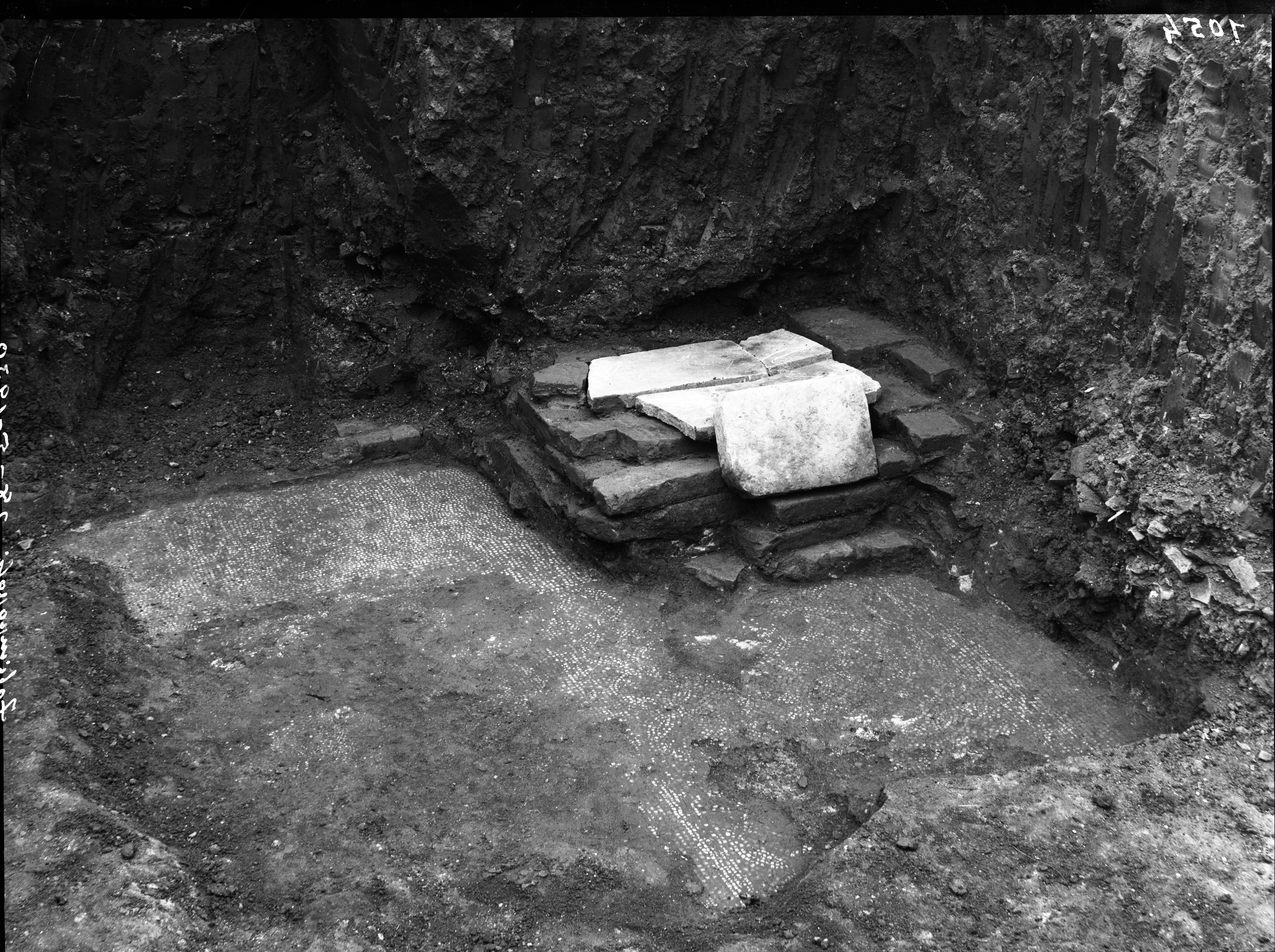 Forlimpopoli. Scavi (lastra) di Anonimo (prima metà XX)