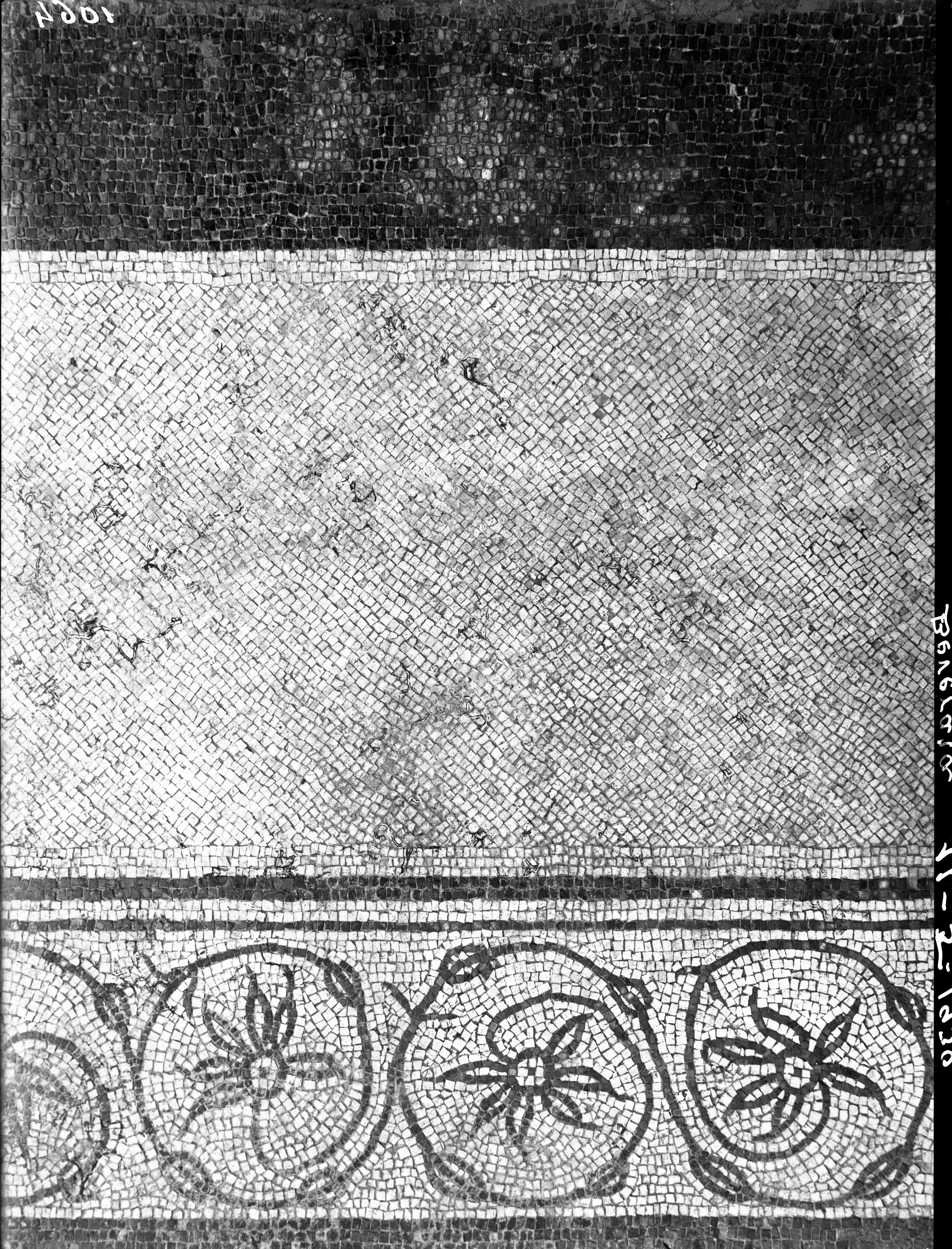 Bologna. Beverara. Scavi (lastra) di Anonimo (prima metà XX)