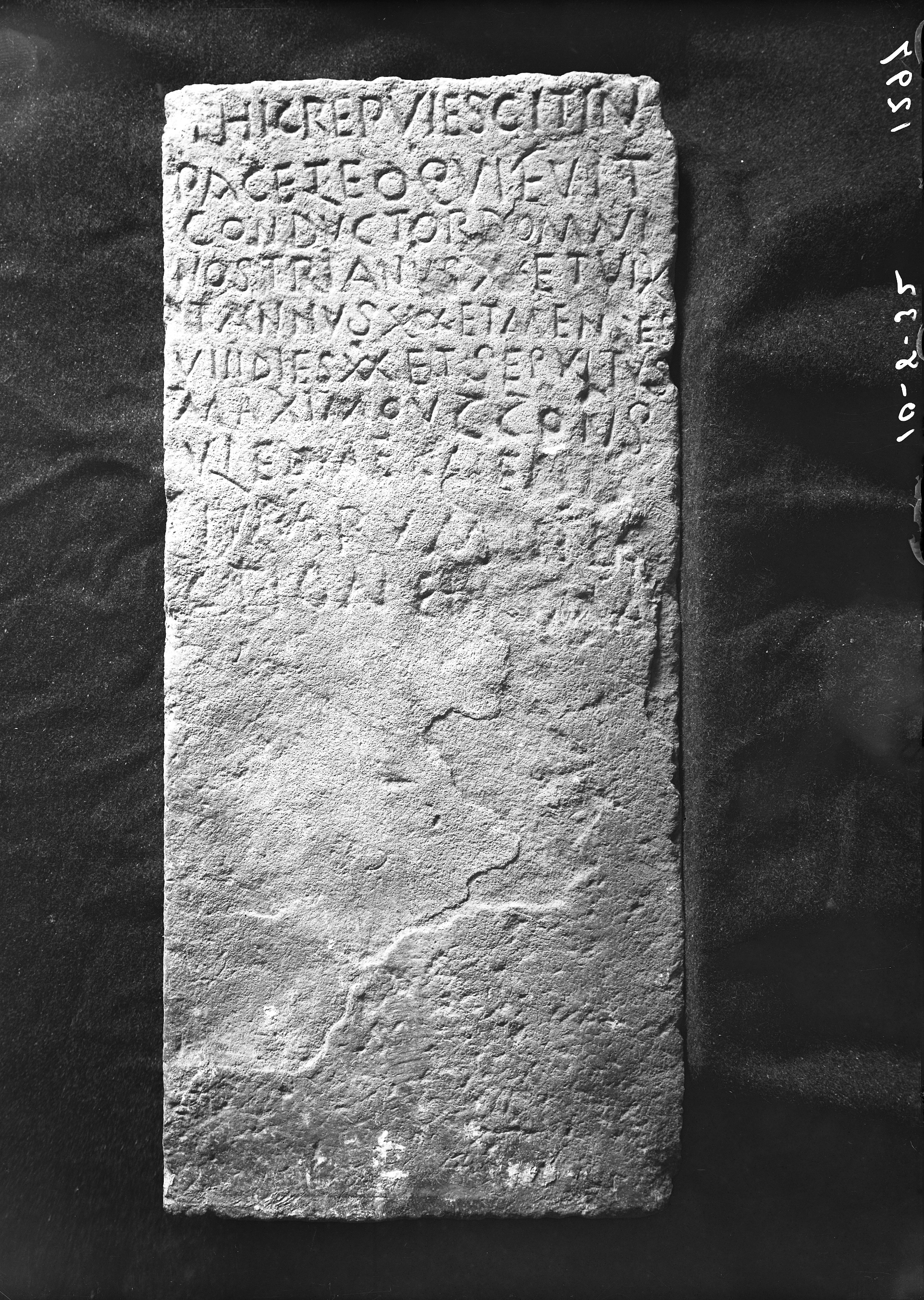 Rimini Museo (lastra) di Anonimo (prima metà XX)