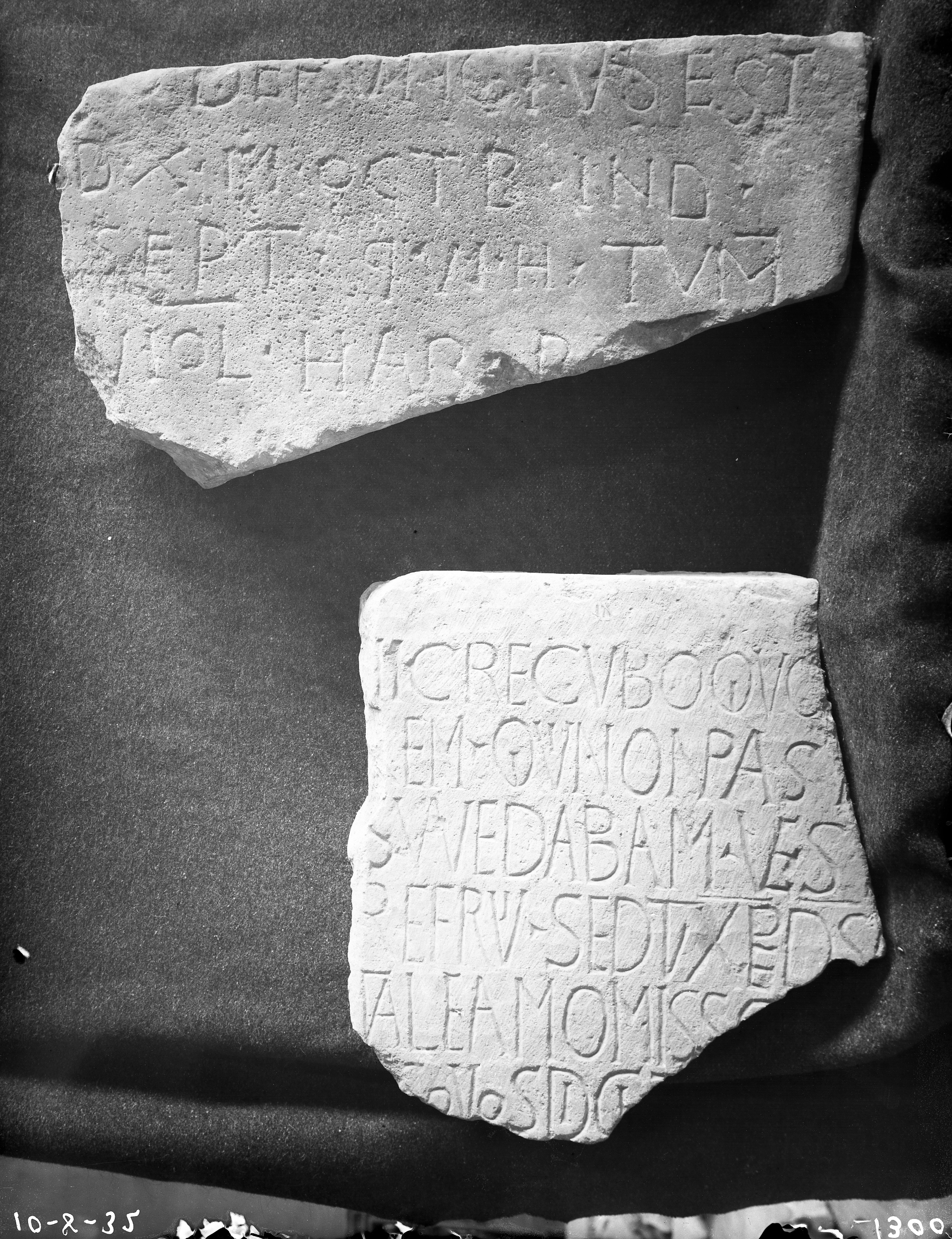 Rimini Museo (lastra) di Anonimo (prima metà XX)