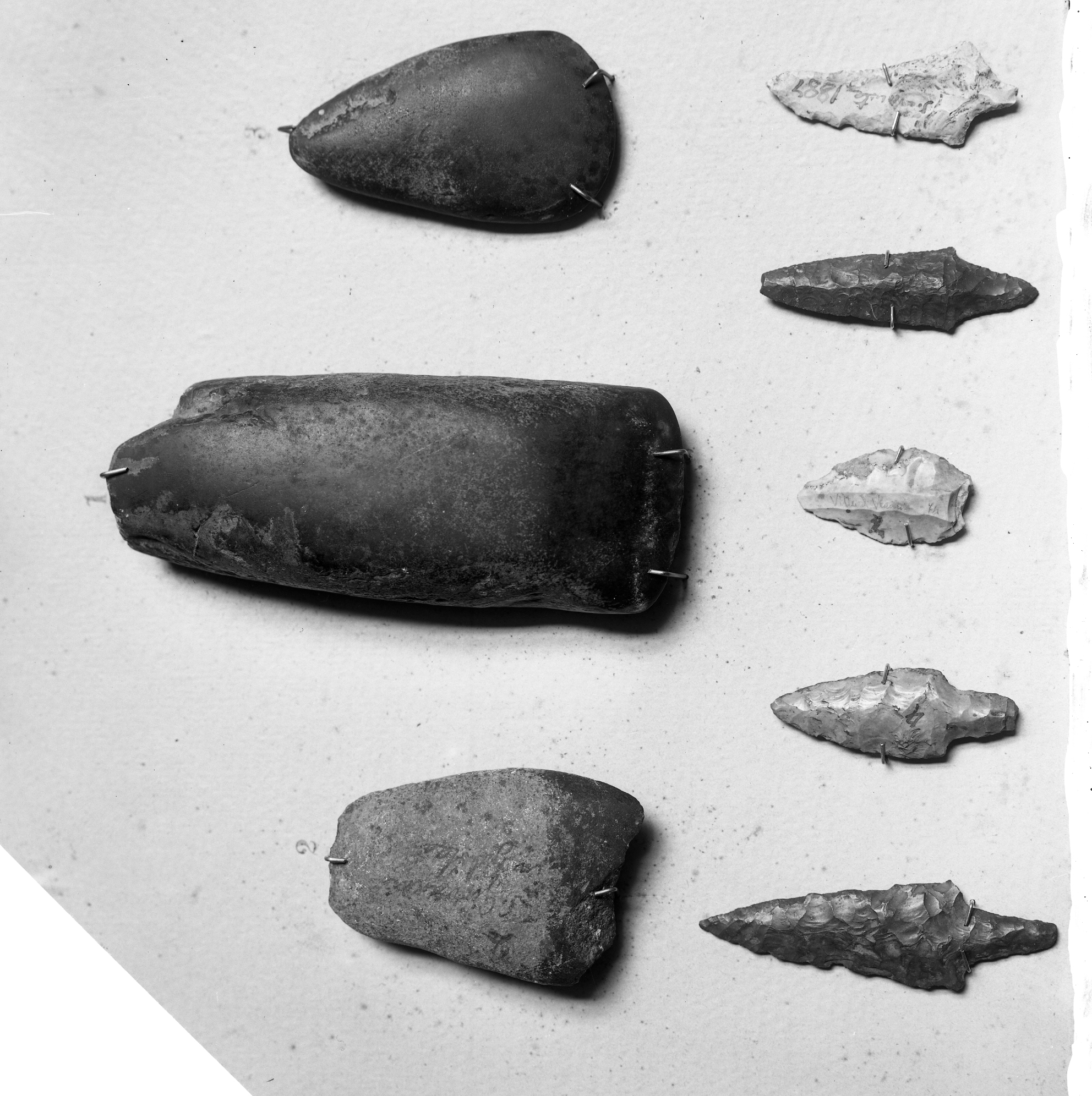 Rimini Museo (lastra) di Anonimo (prima metà XX)