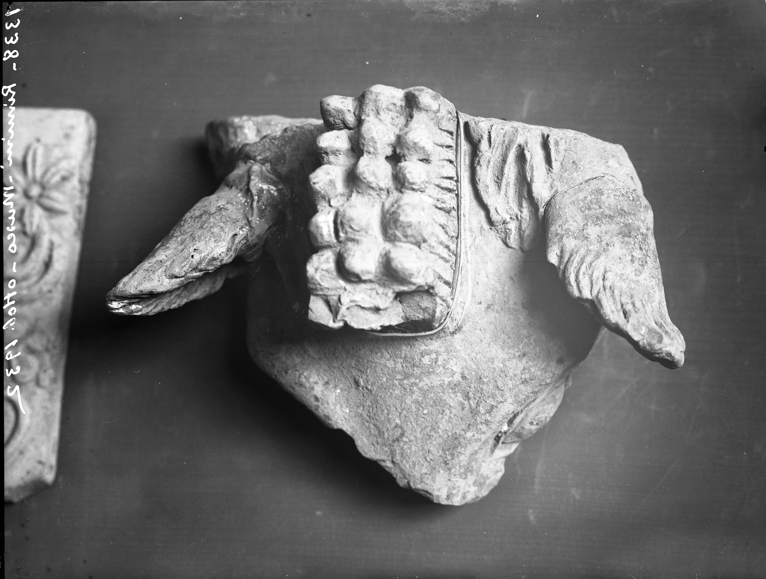 Rimini Museo (lastra) di Anonimo (prima metà XX)