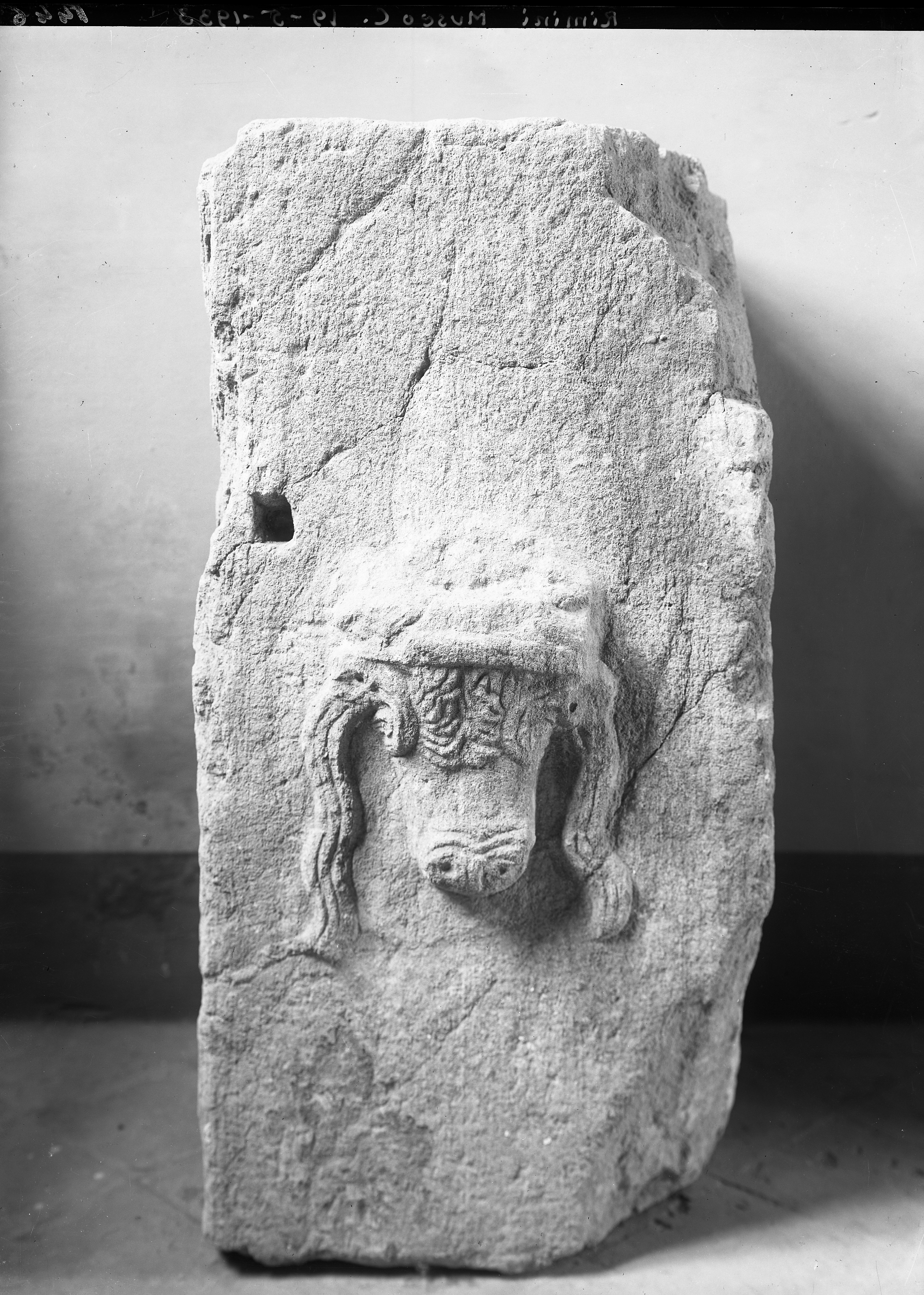 Rimini. Museo (lastra) di Anonimo (prima metà XX)