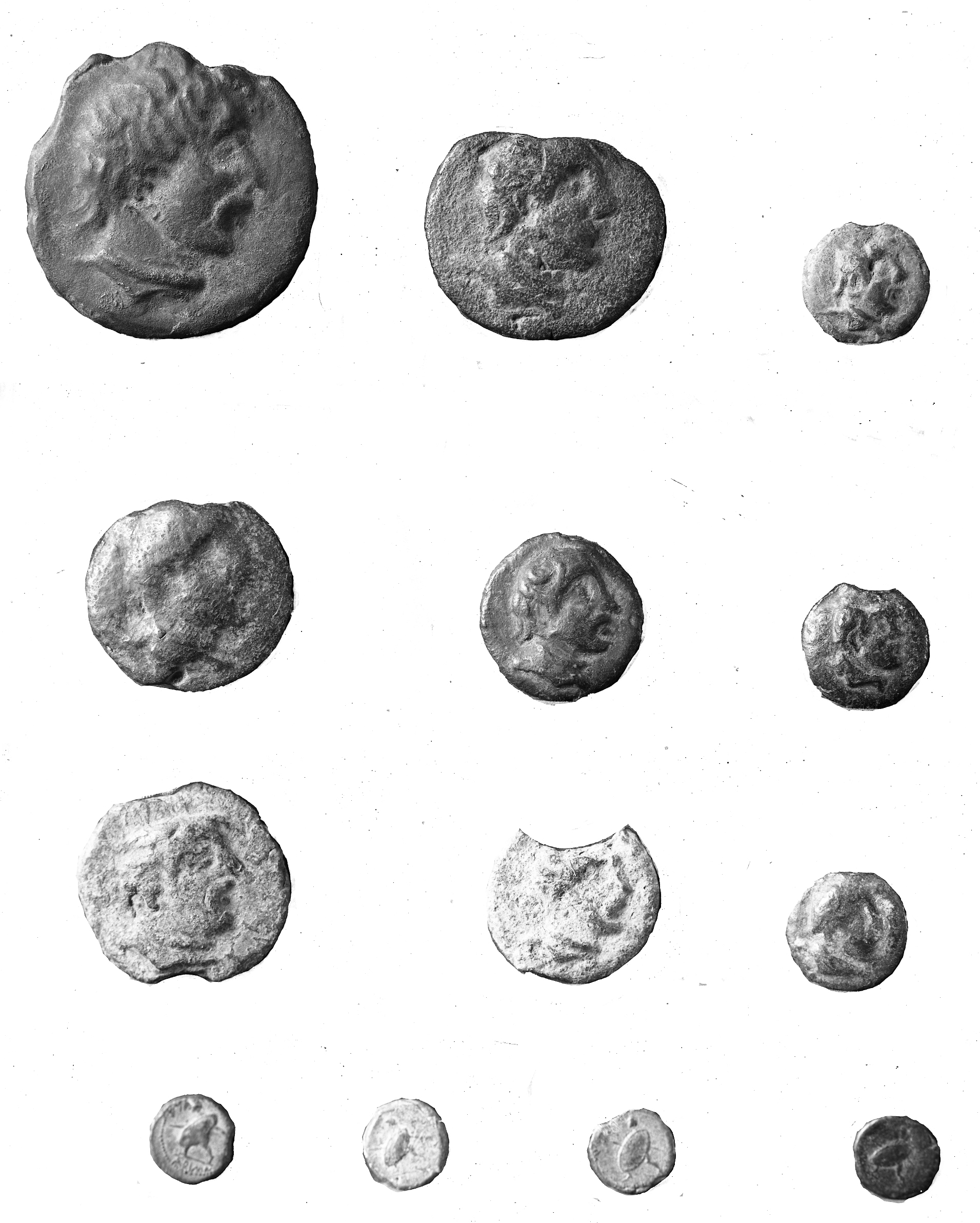 Rimini. Museo (lastra) di Anonimo (prima metà XX)