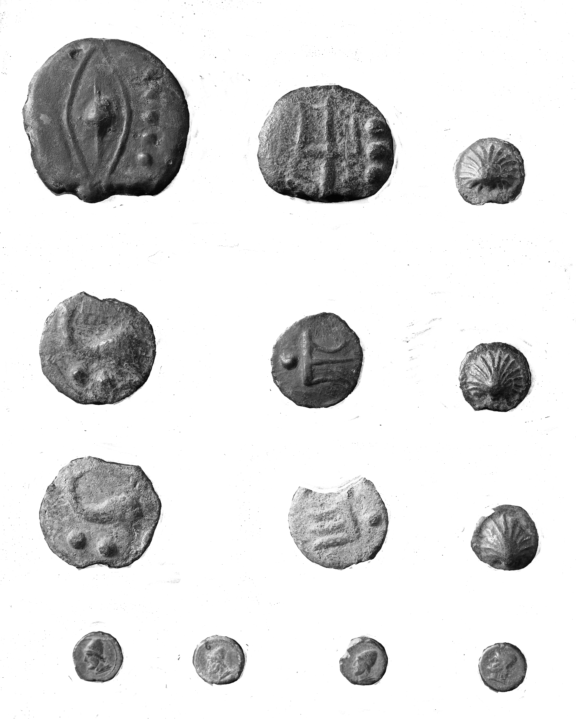 Rimini. Museo (lastra) di Anonimo (prima metà XX)