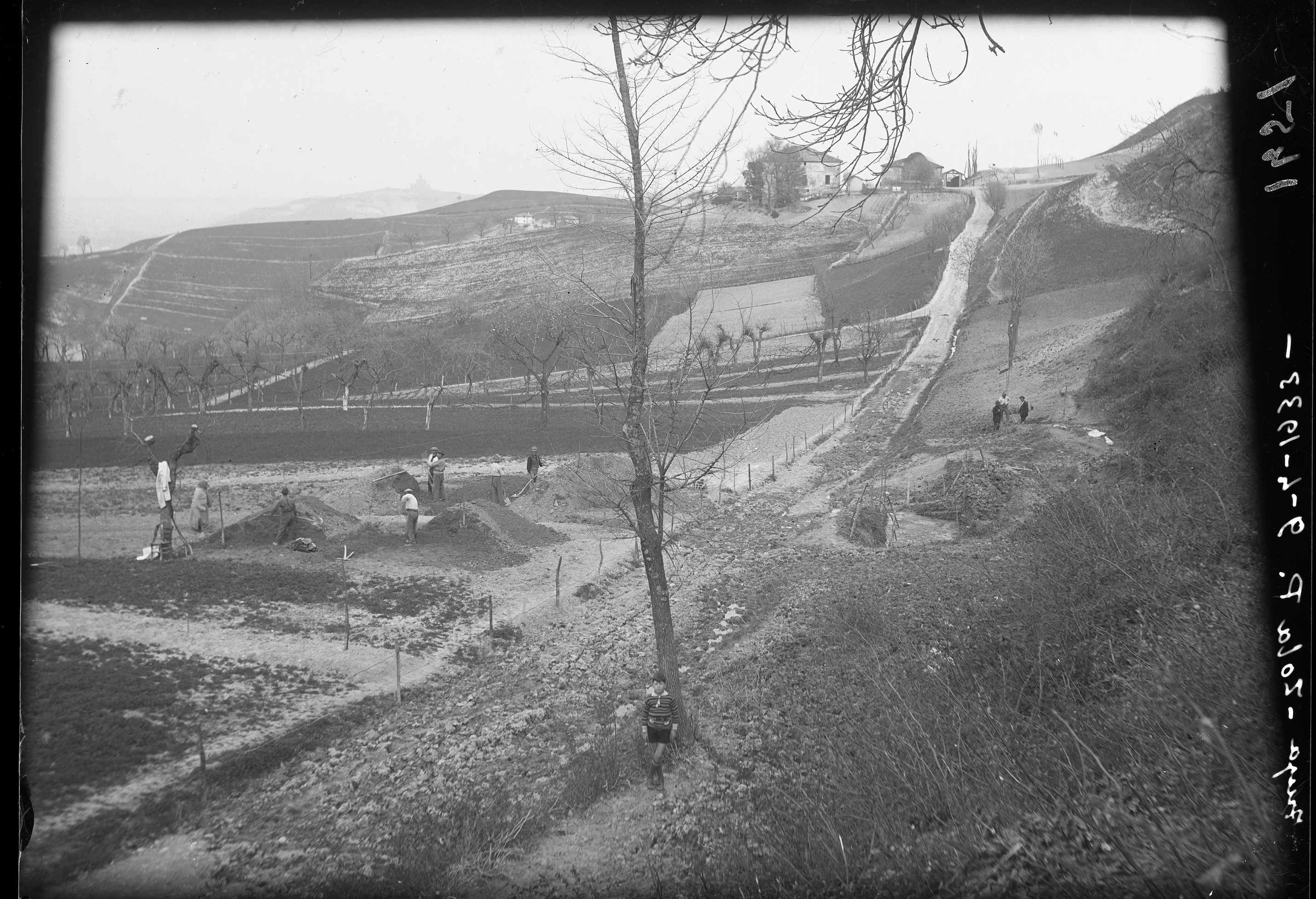 Zola Predosa (lastra) di Anonimo (prima metà XX)