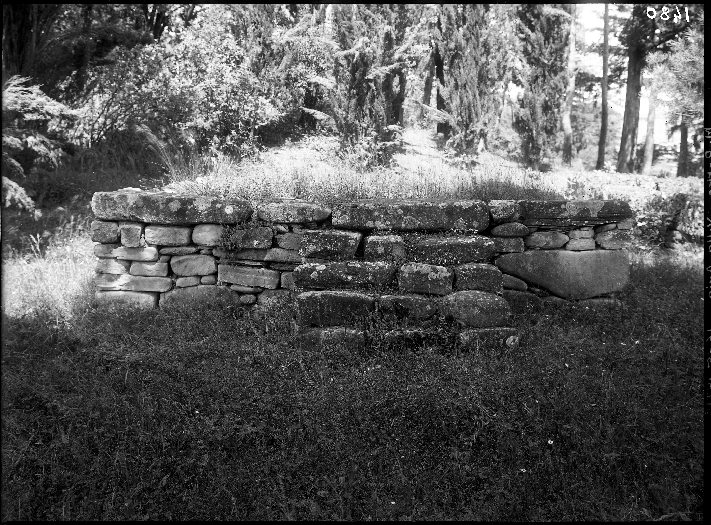 Marzabotto (lastra) di Anonimo (prima metà XX)