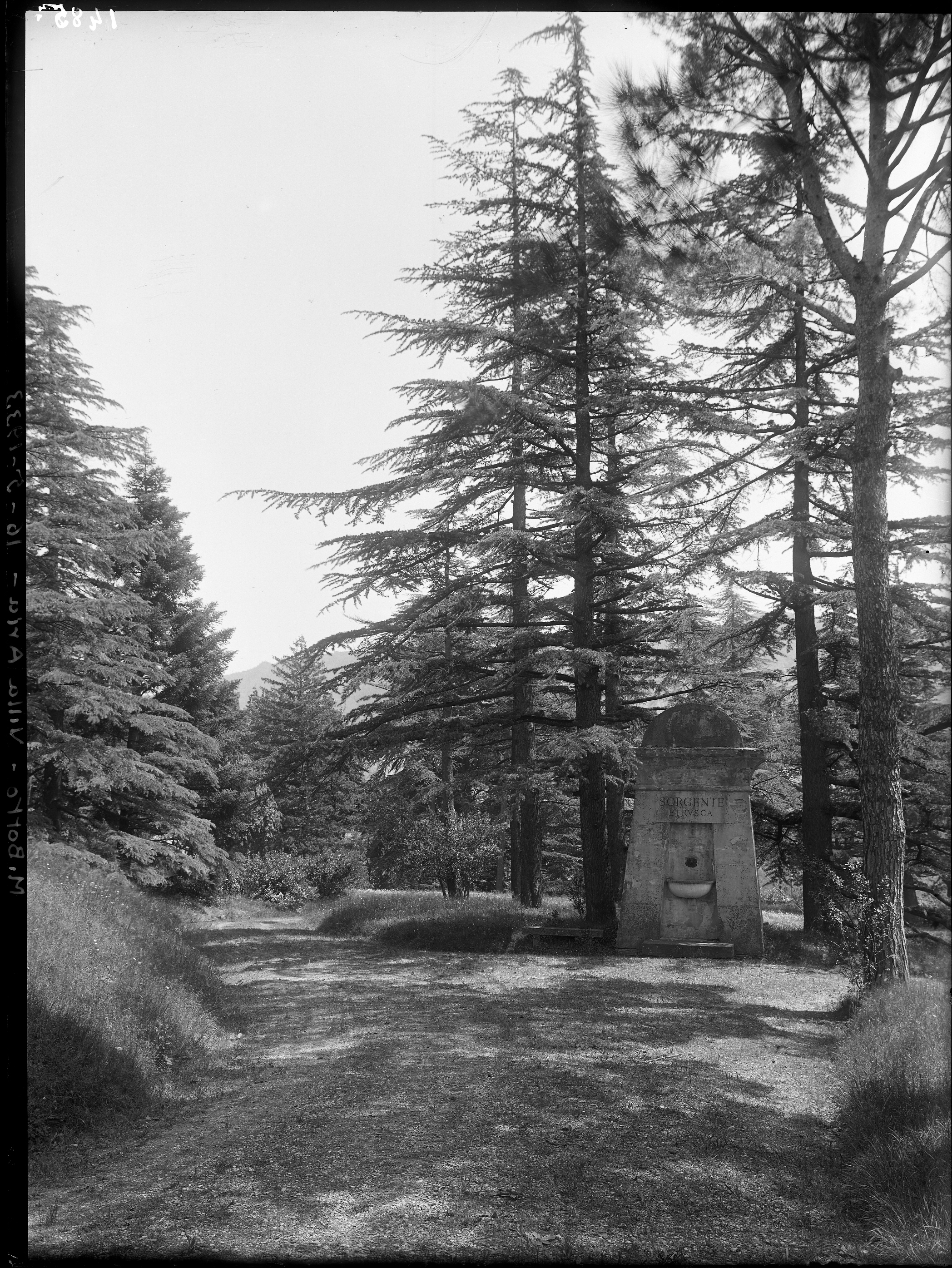 Marzabotto (lastra) di Anonimo (prima metà XX)