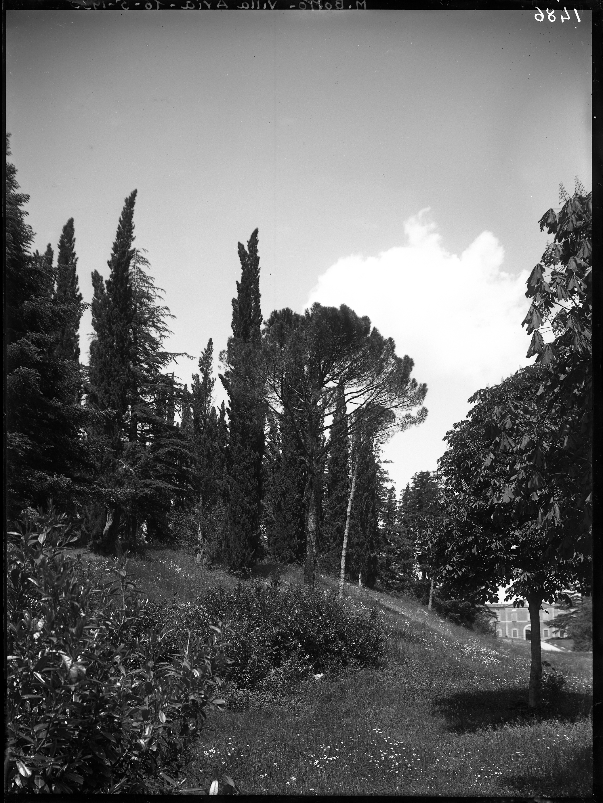 Marzabotto (lastra) di Anonimo (prima metà XX)