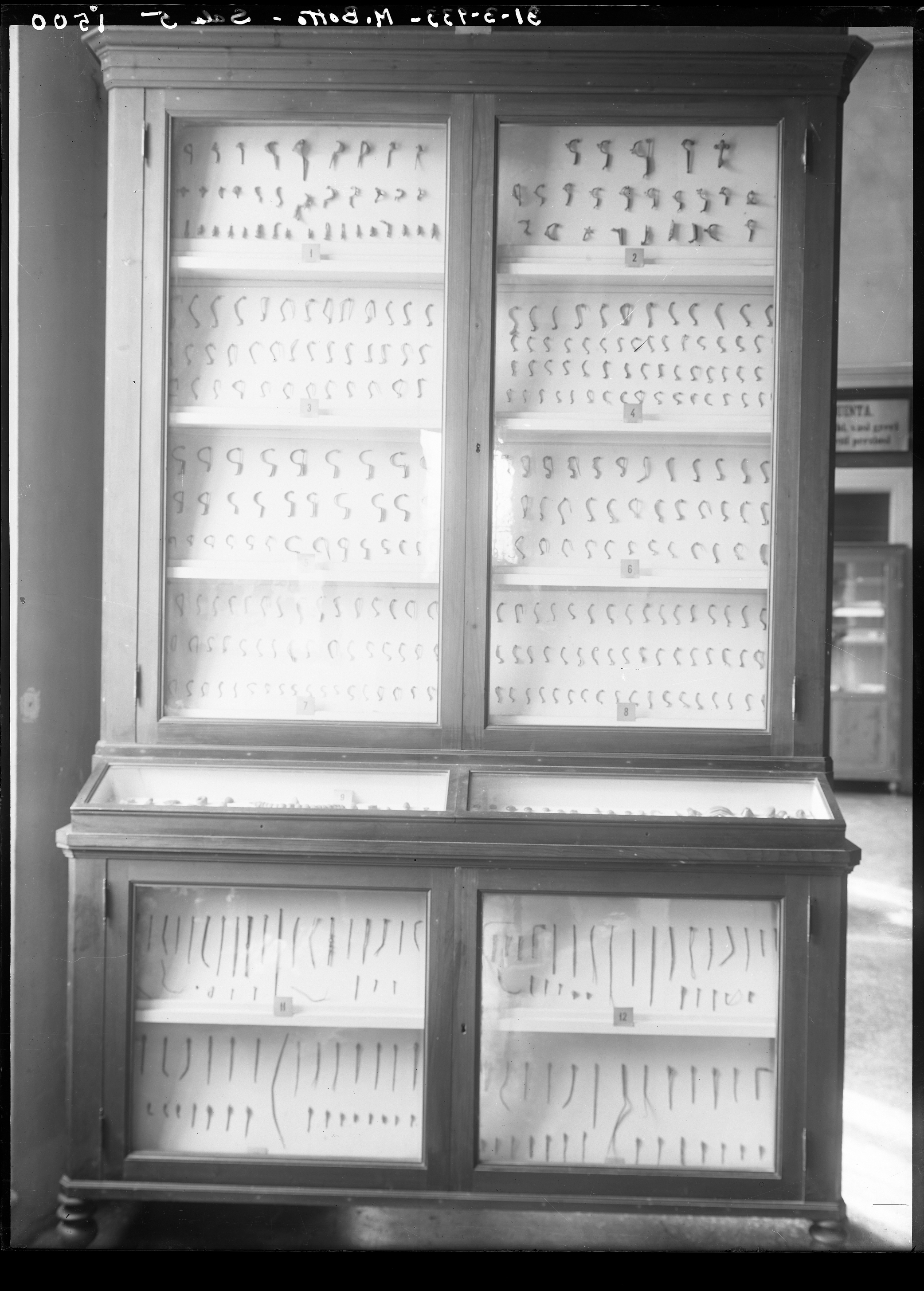 Marzabotto. Museo etrusco (lastra) di Anonimo (prima metà XX)