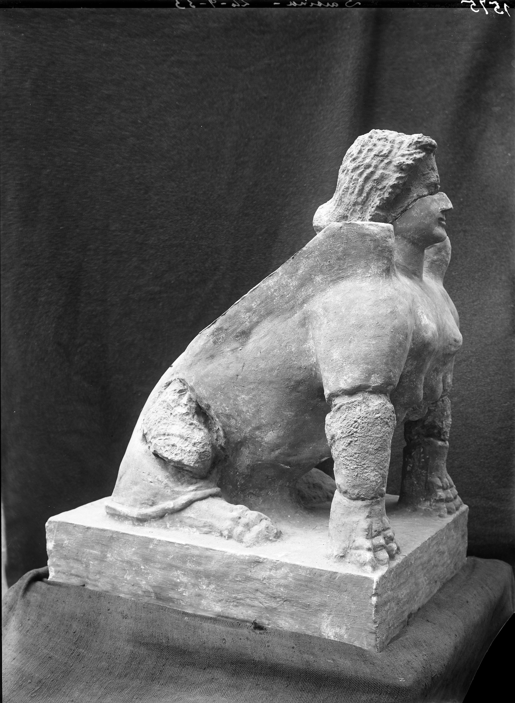 Sarsina (lastra) di Anonimo (prima metà XX)