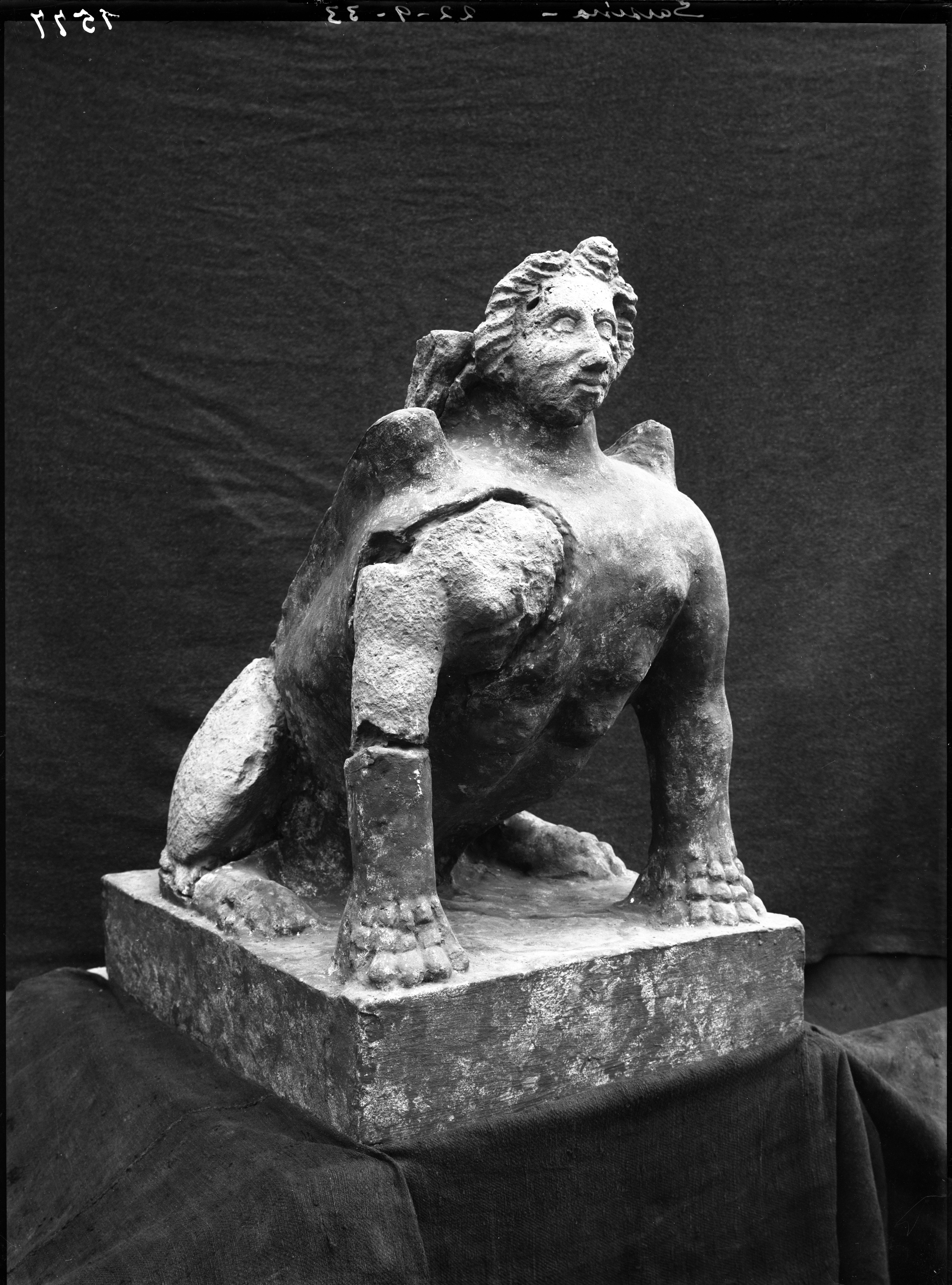 Sarsina. Museo (lastra) di Anonimo (prima metà XX)