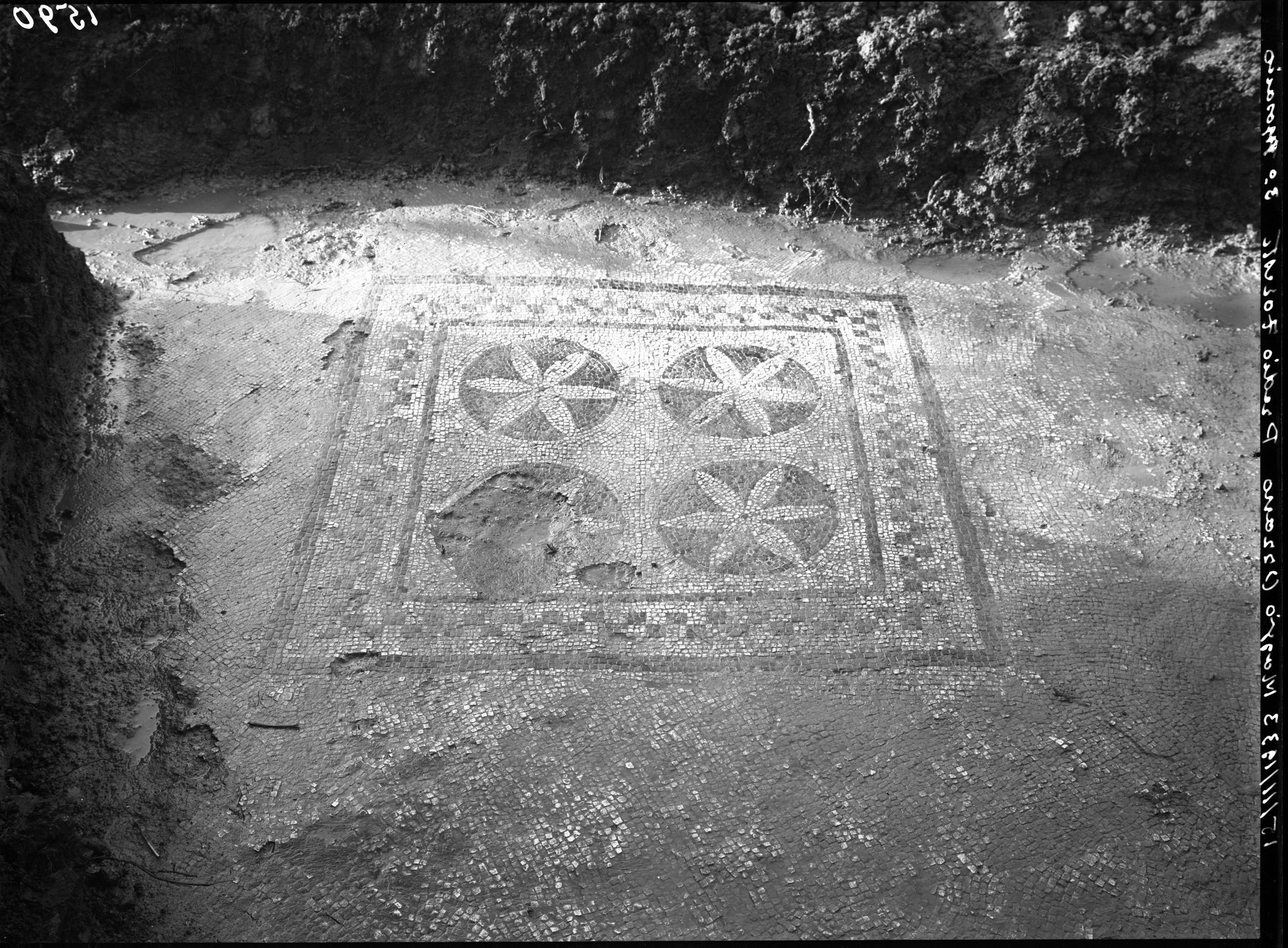 Maggio. Ozzano Emilia (lastra) di Anonimo (prima metà XX)