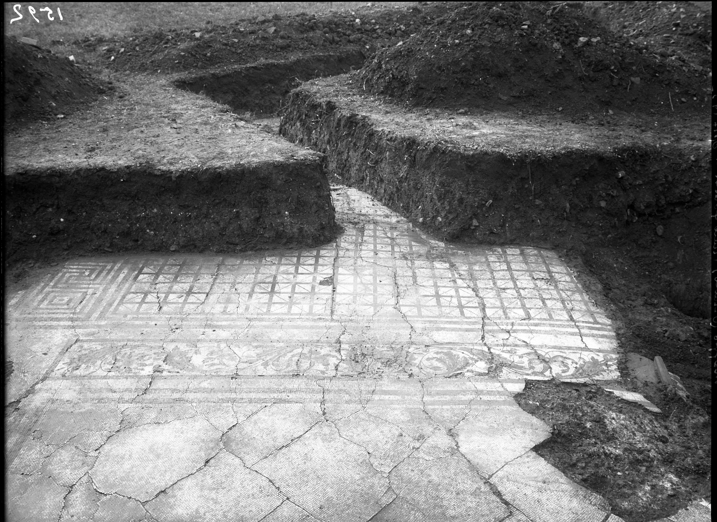 Maggio. Ozzano Emilia (lastra) di Anonimo (prima metà XX)