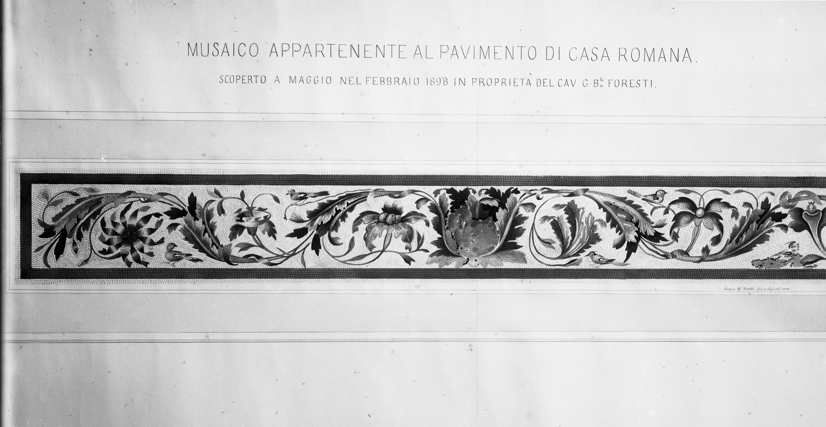 Maggio. Ozzano Emilia (lastra) di Anonimo (prima metà XX)