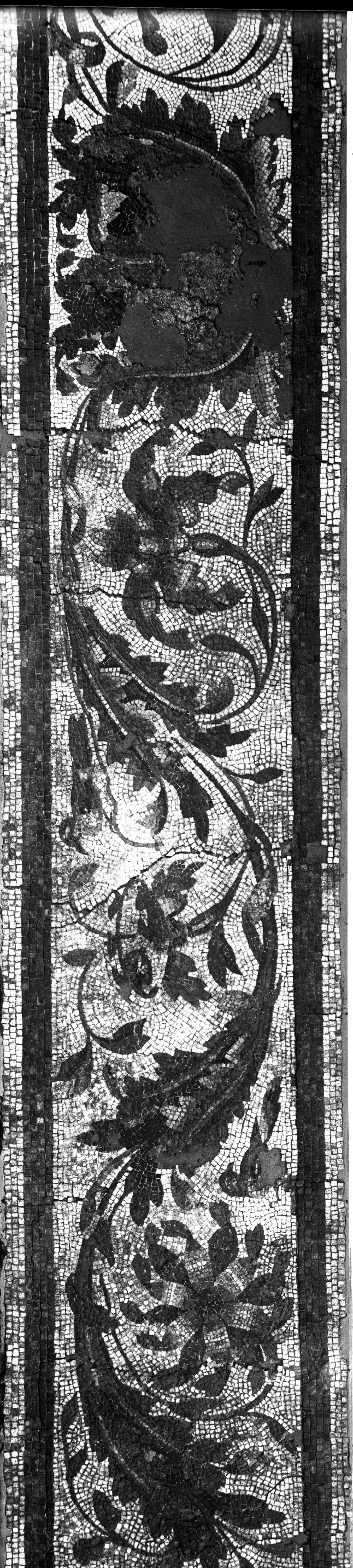 Maggio. Ozzano Emilia (lastra) di Anonimo (prima metà XX)