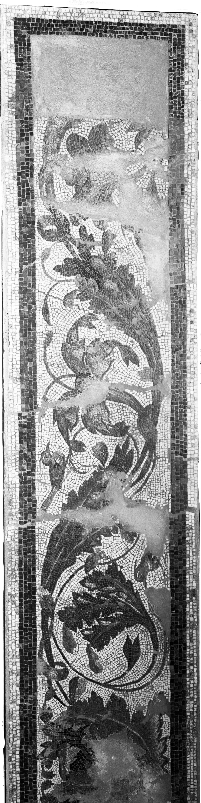 Maggio. Ozzano Emilia (lastra) di Anonimo (prima metà XX)