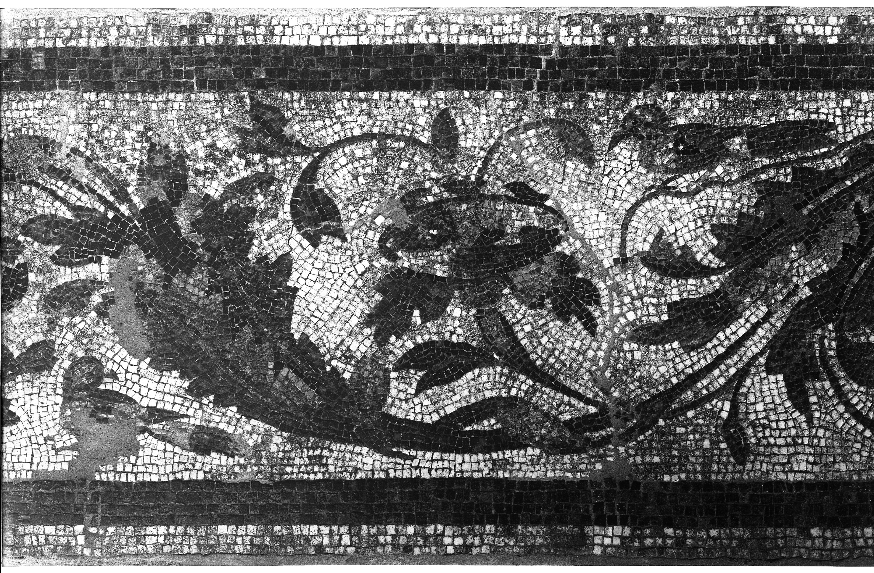 Maggio. Ozzano Emilia (lastra) di Anonimo (prima metà XX)