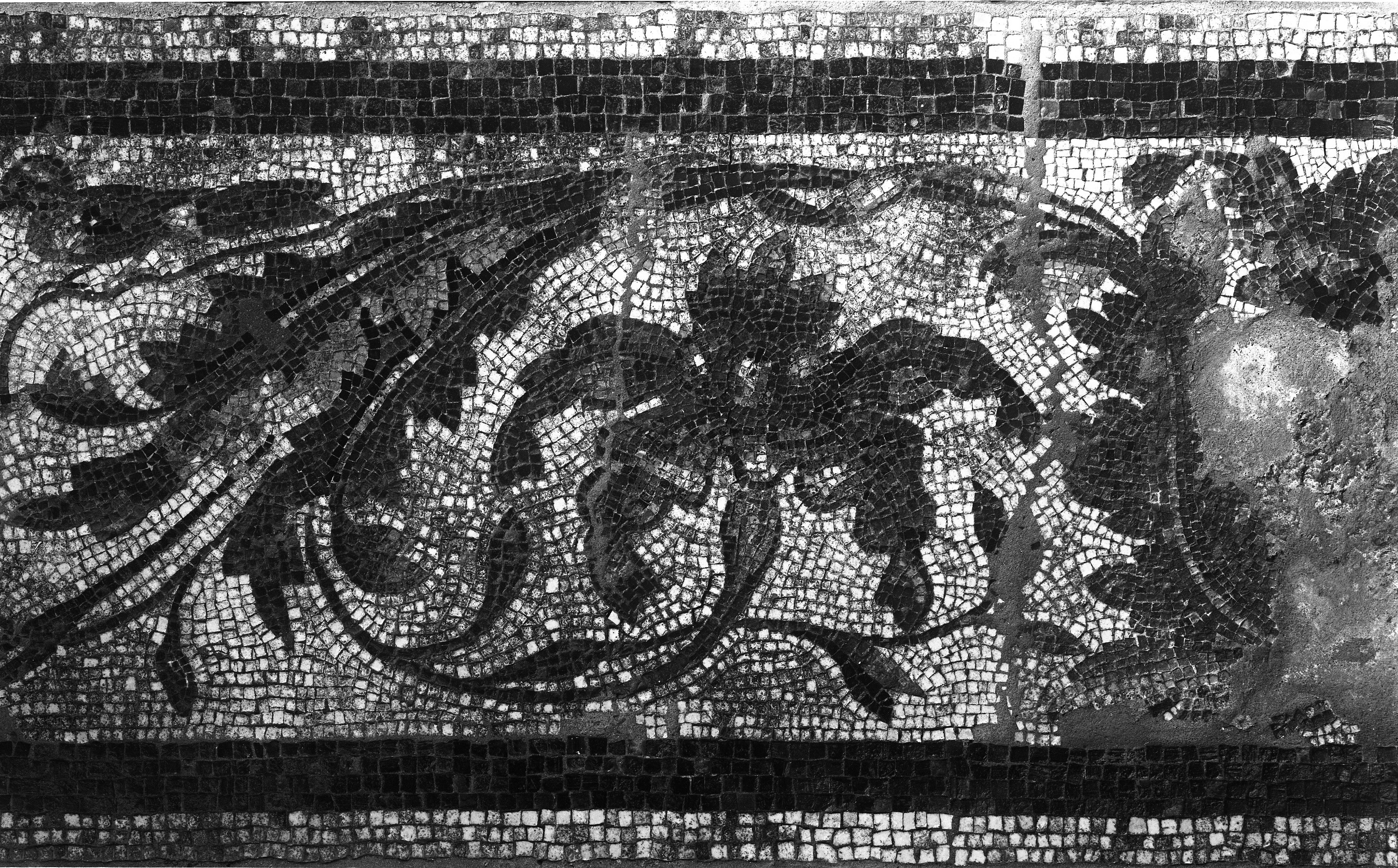 Maggio. Ozzano Emilia (lastra) di Anonimo (prima metà XX)