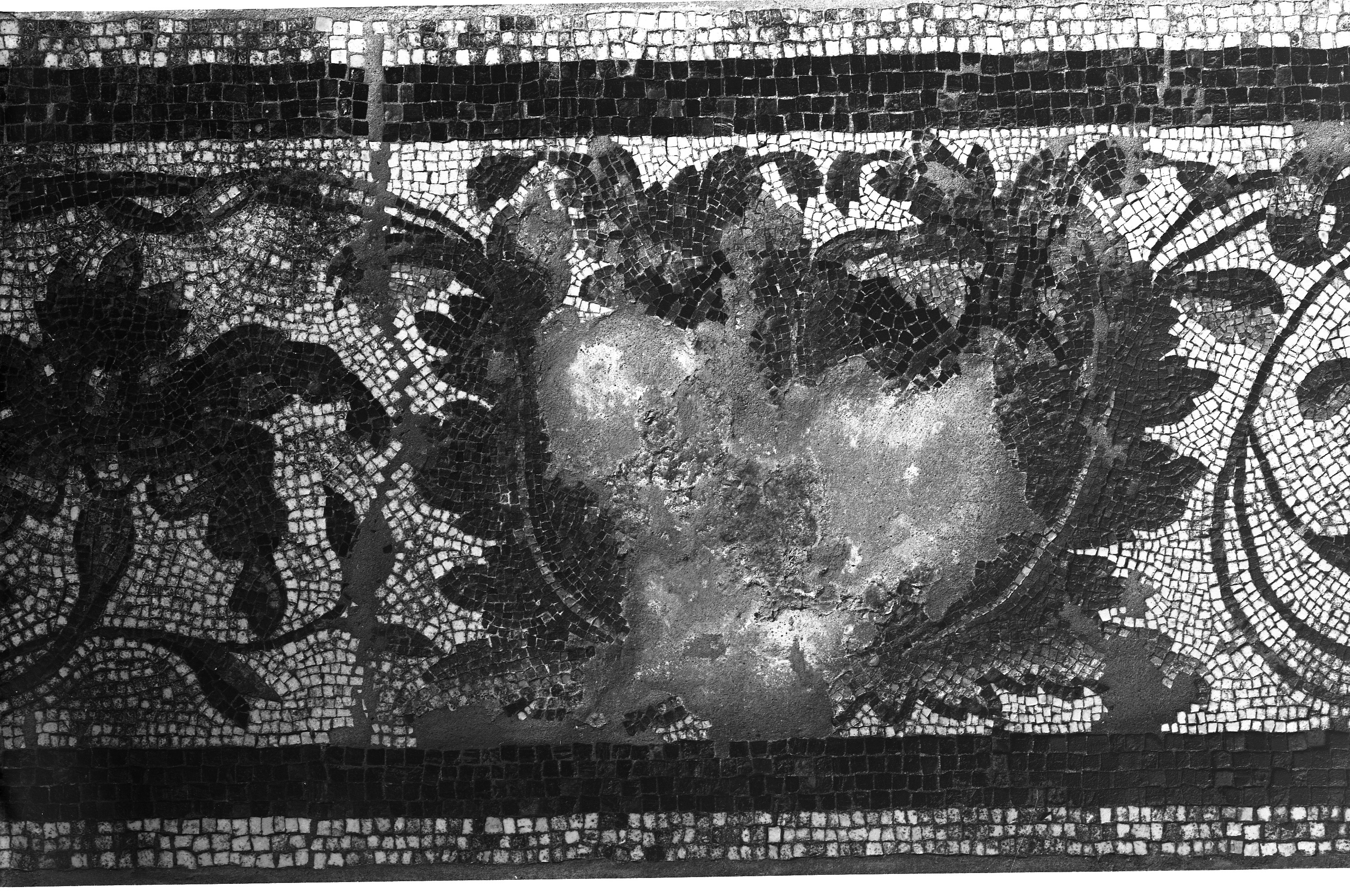 Maggio. Ozzano Emilia (lastra) di Anonimo (prima metà XX)