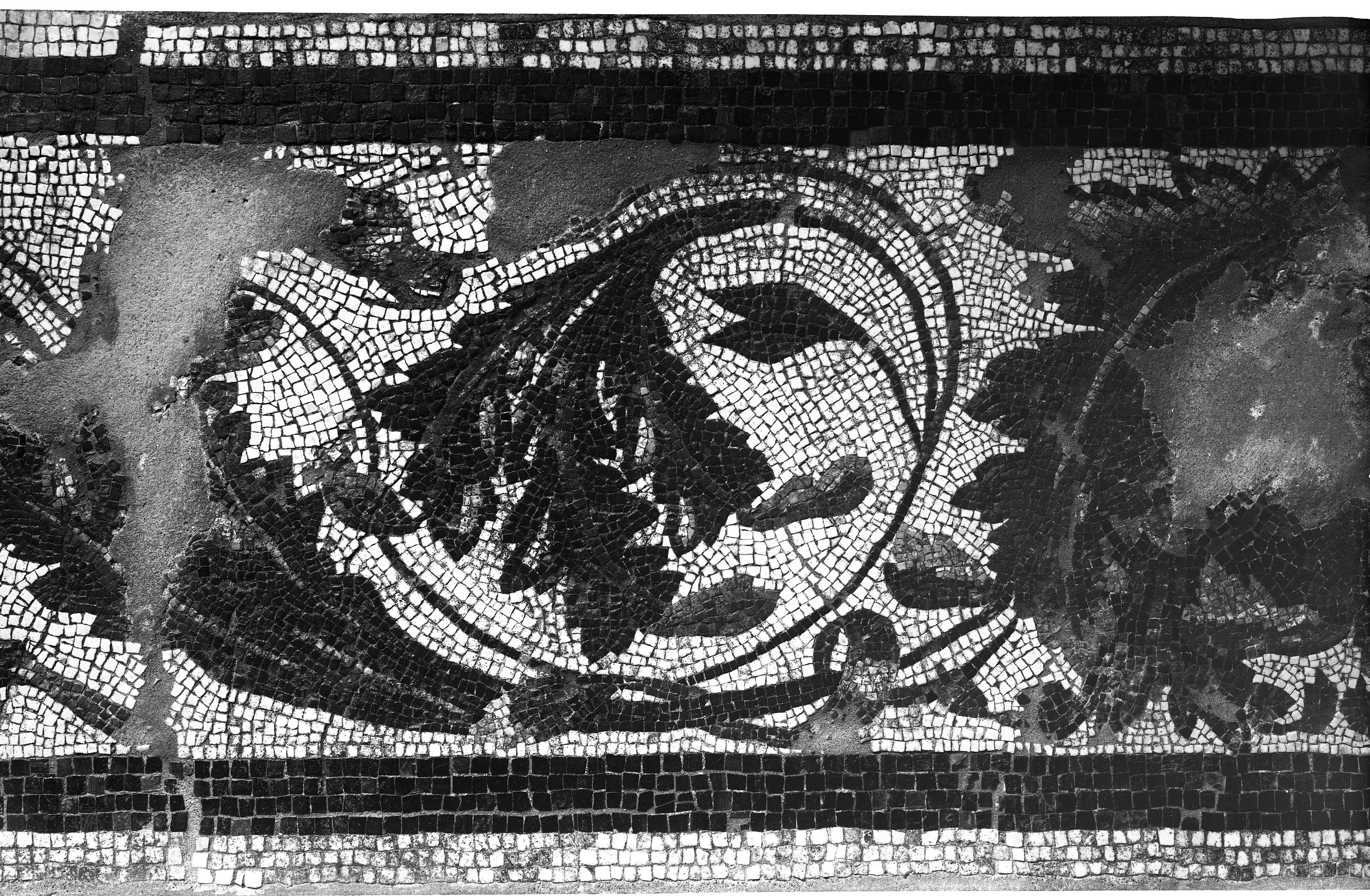 Maggio. Ozzano Emilia (lastra) di Anonimo (prima metà XX)