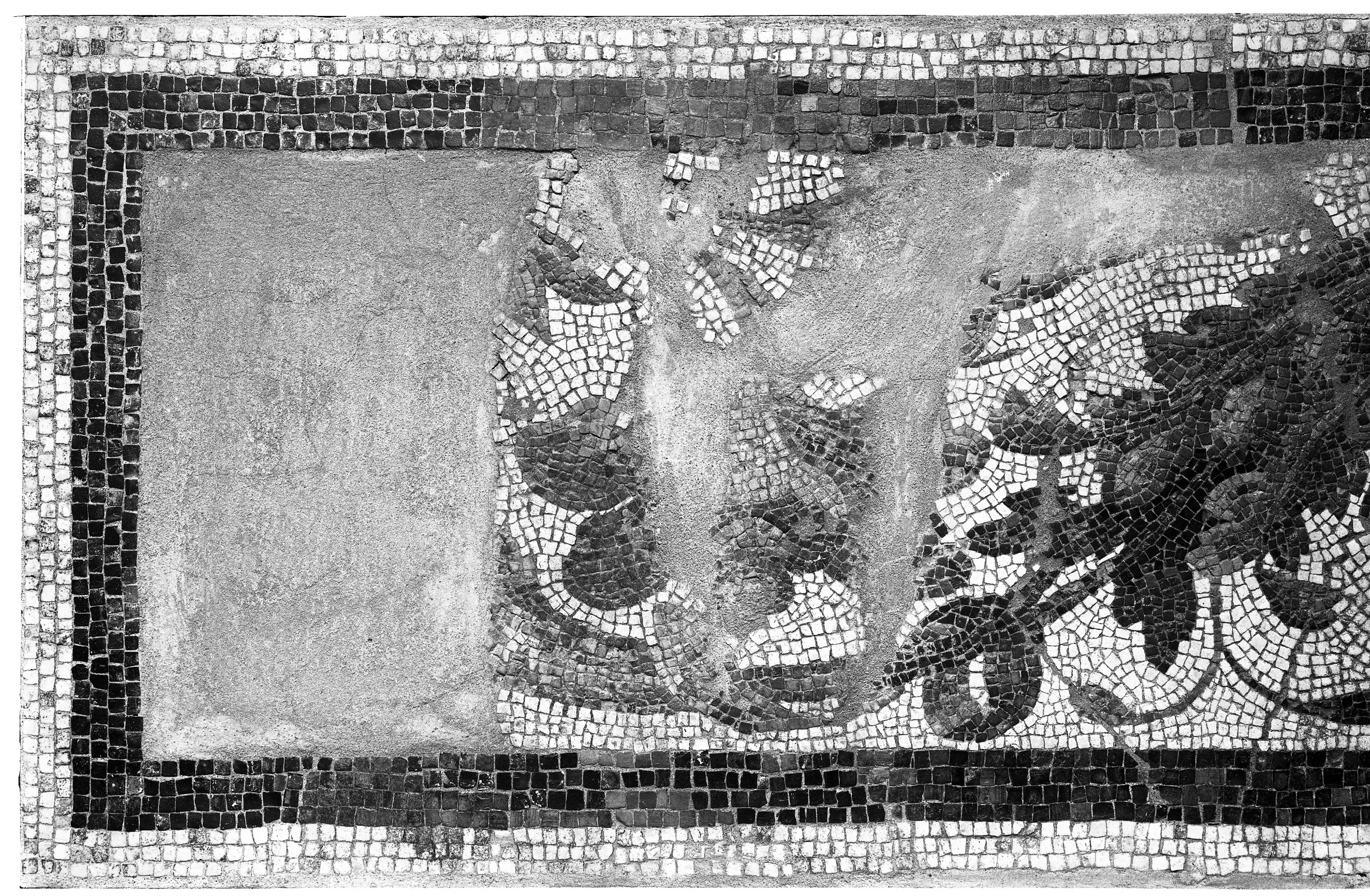 Maggio. Ozzano Emilia (lastra) di Anonimo (prima metà XX)