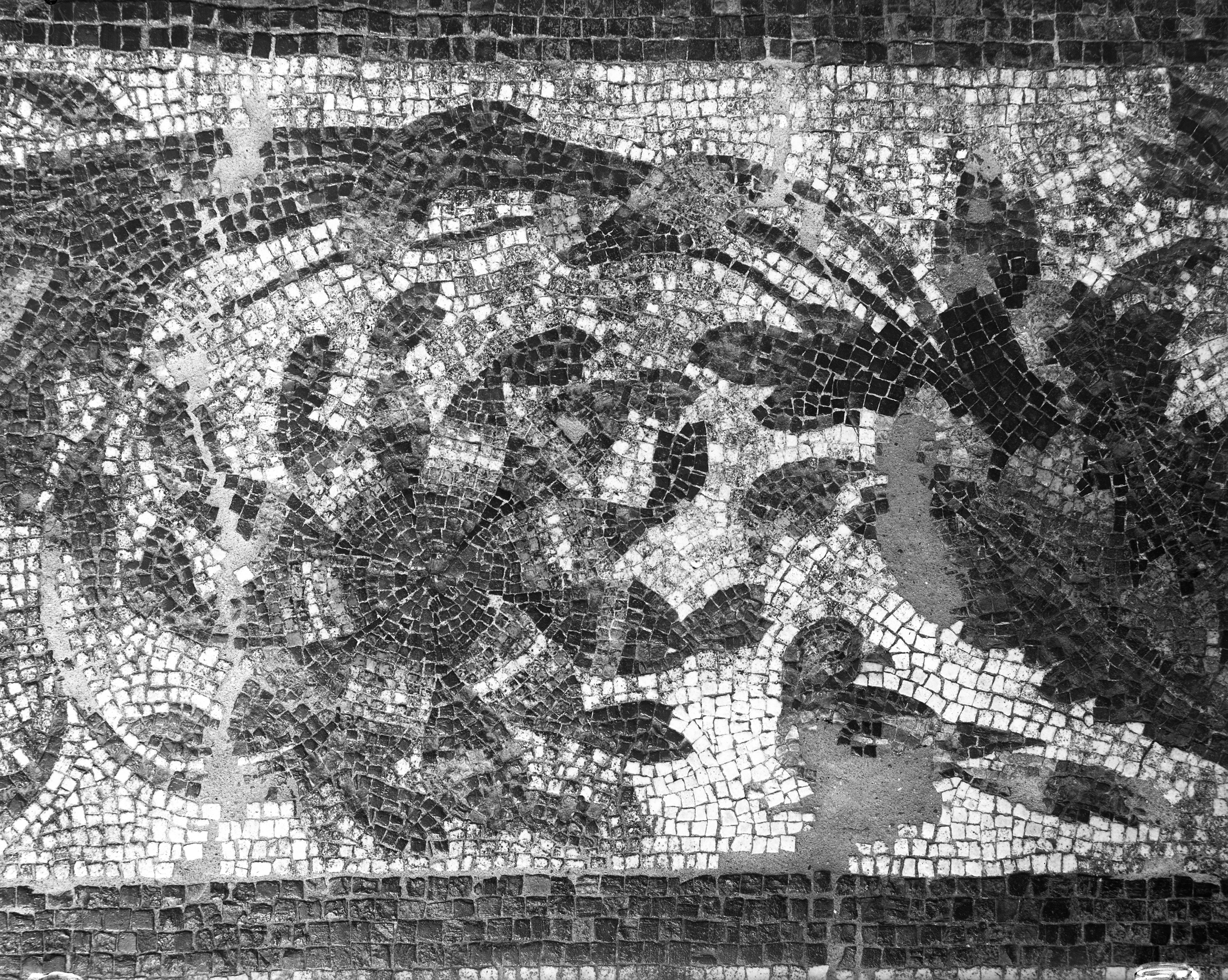 Maggio. Ozzano Emilia (lastra) di Anonimo (prima metà XX)