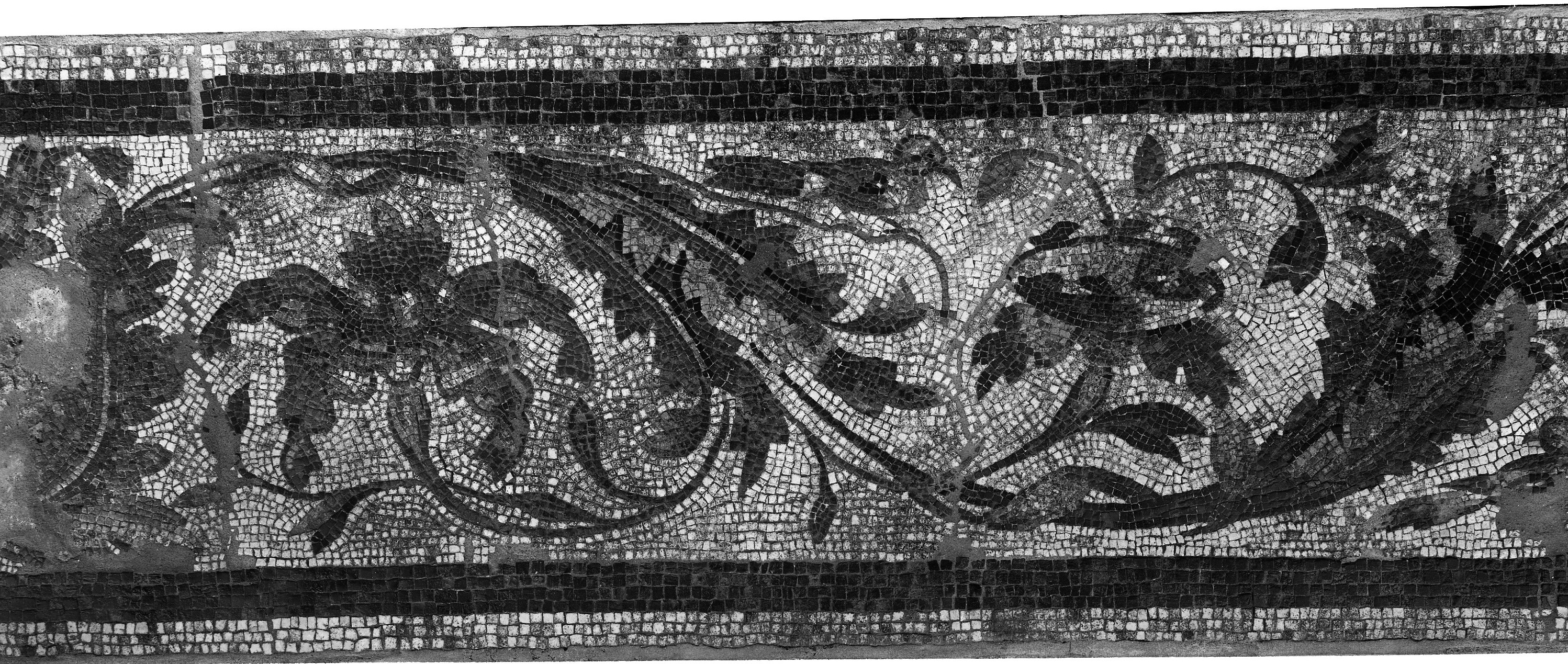 Maggio. Ozzano Emilia (lastra) di Anonimo (prima metà XX)