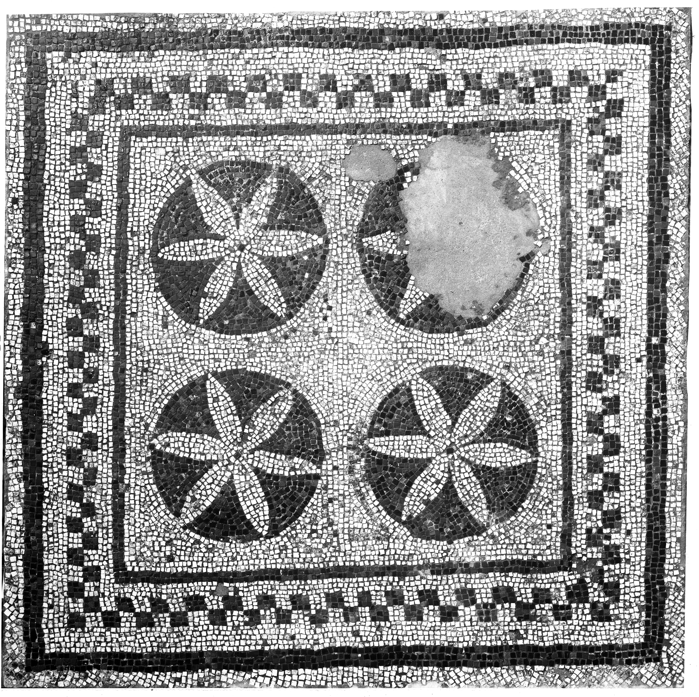 Maggio. Ozzano Emilia (lastra) di Anonimo (prima metà XX)