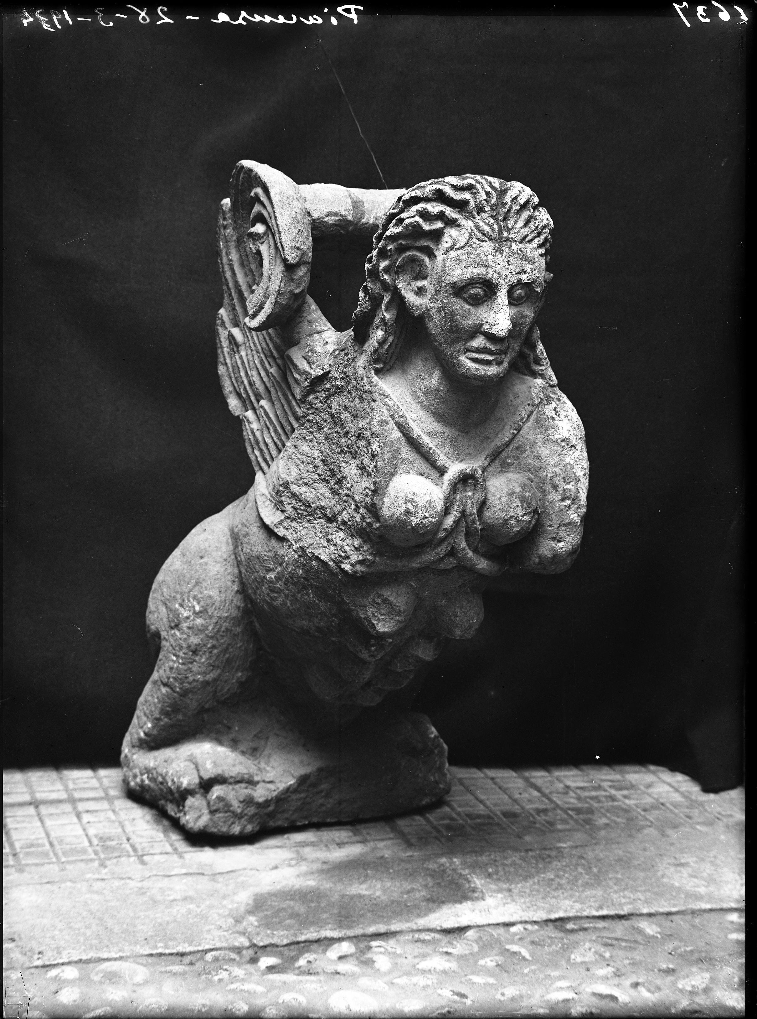 Piacenza (lastra) di Anonimo (prima metà XX)