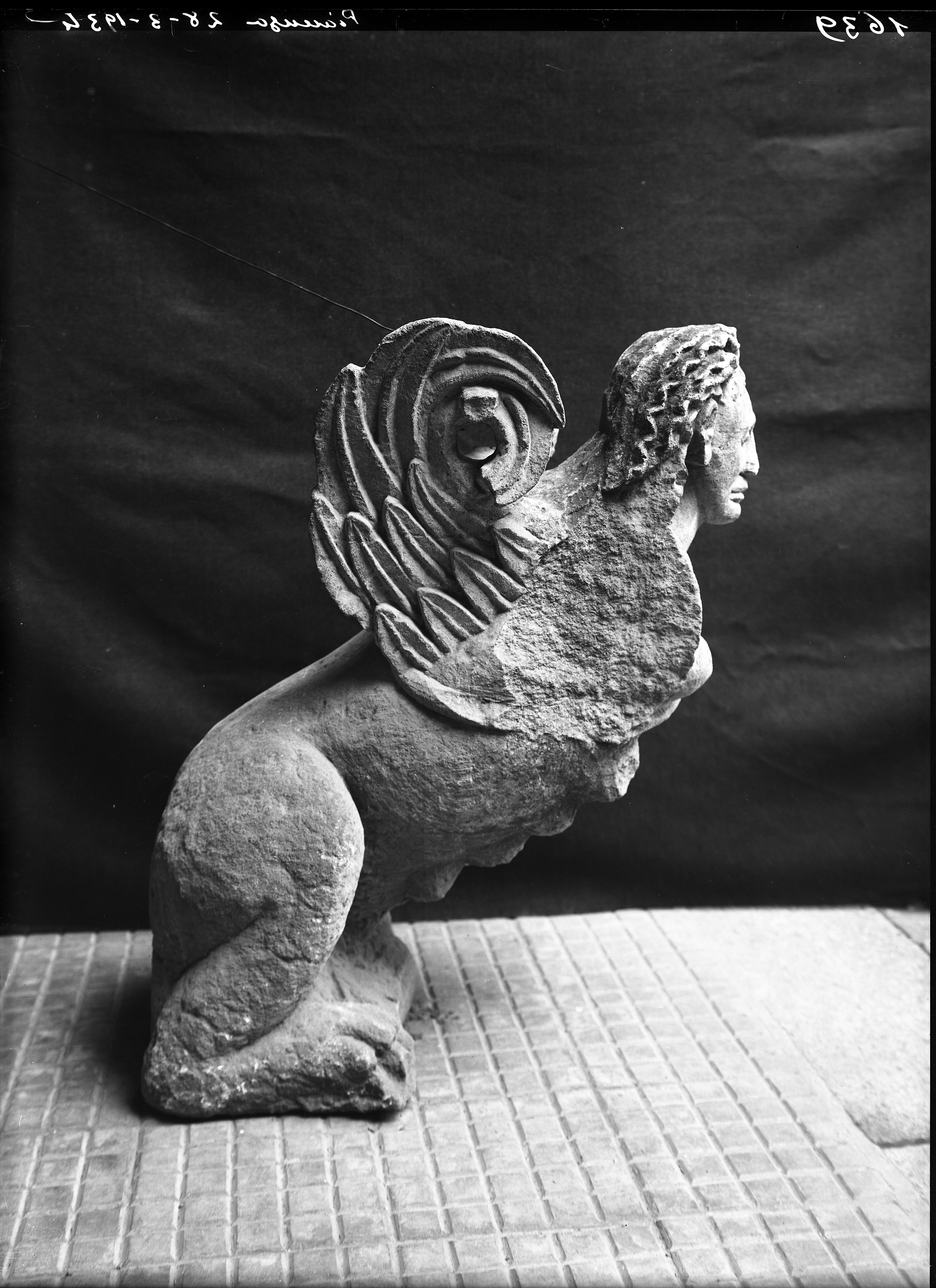 Piacenza (lastra) di Anonimo (prima metà XX)