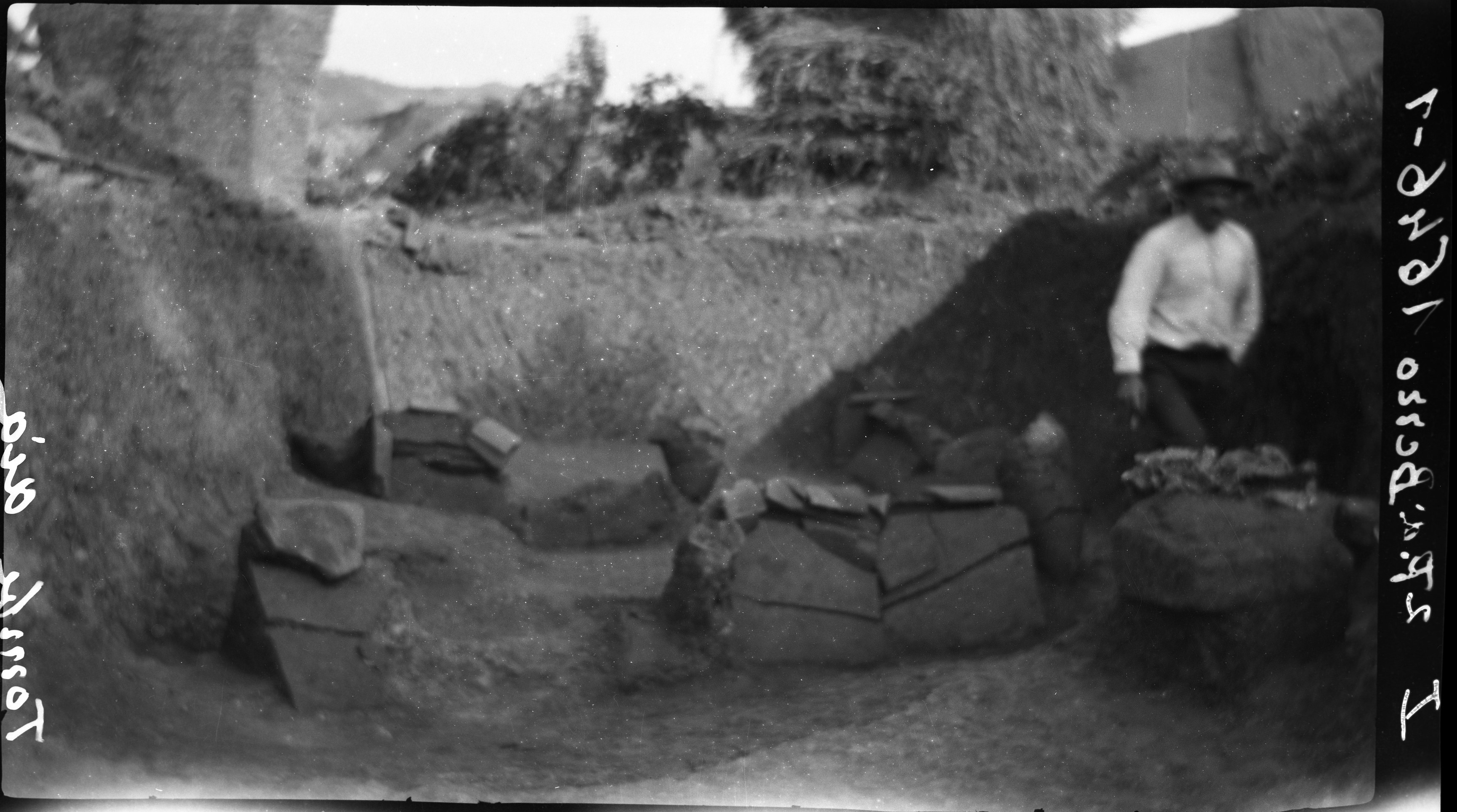 Sarsina (lastra) di Anonimo (prima metà XX)