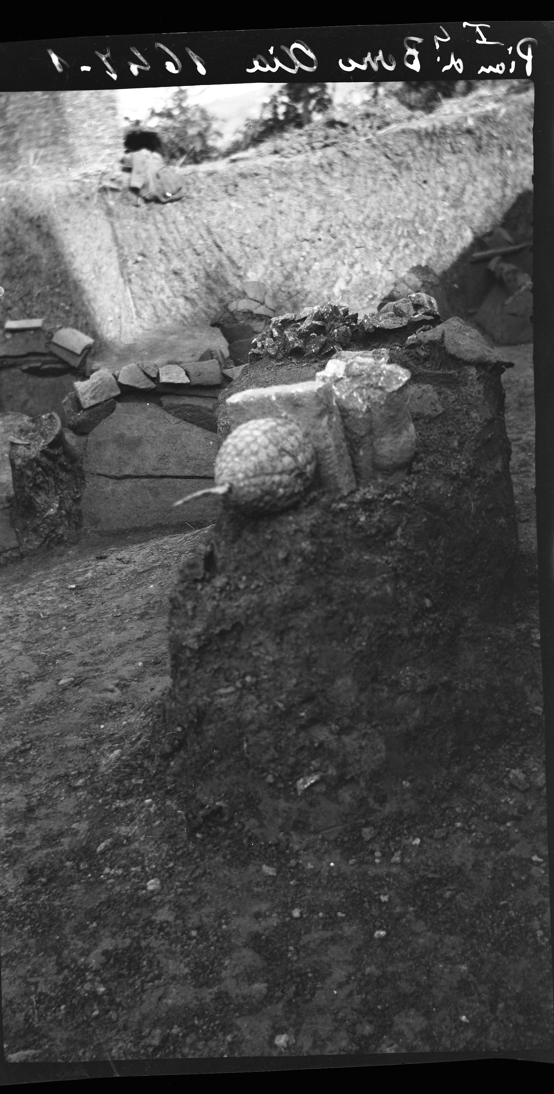 Sarsina (lastra) di Anonimo (prima metà XX)