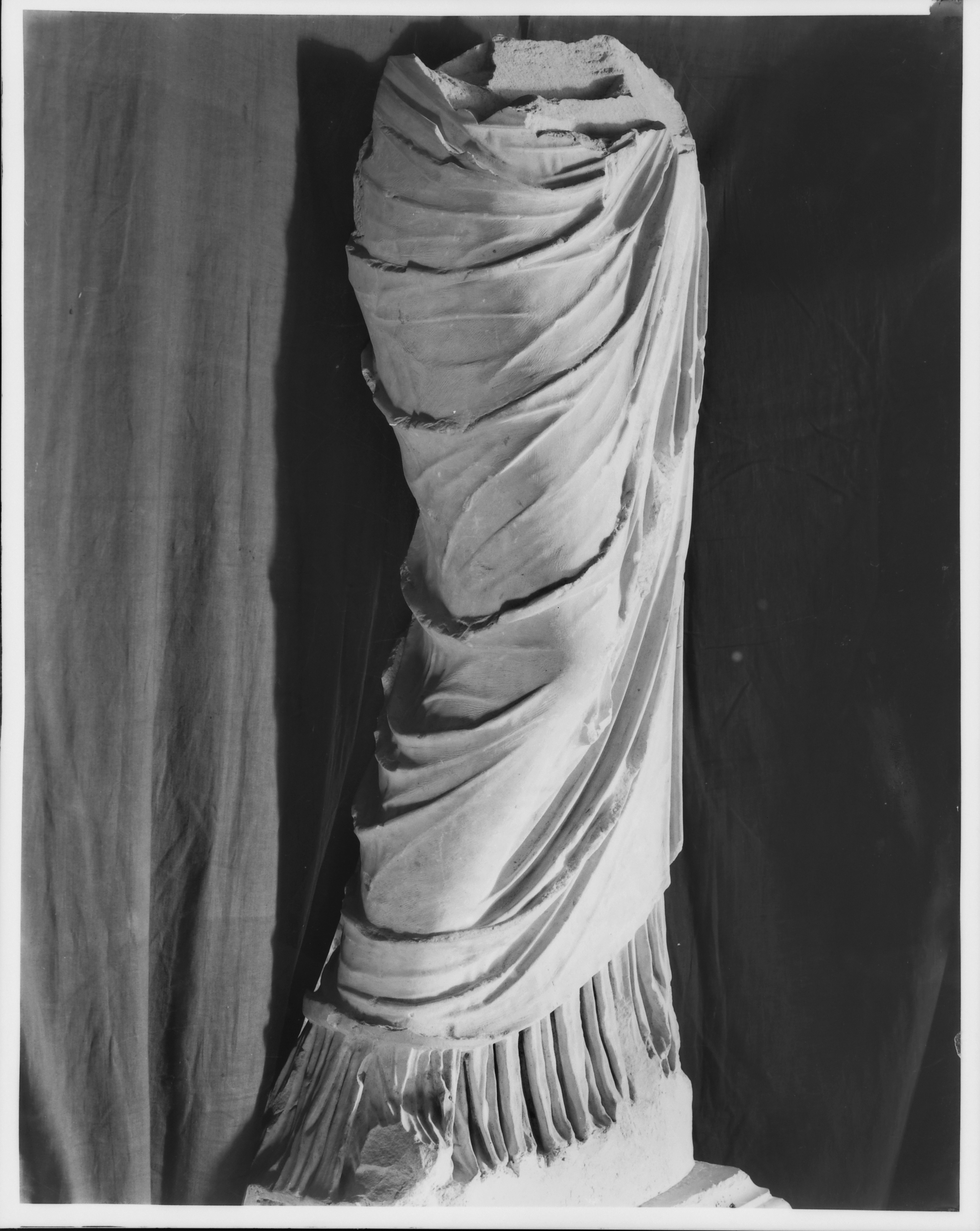 Parma. Museo (lastra) di Anonimo (prima metà XX)