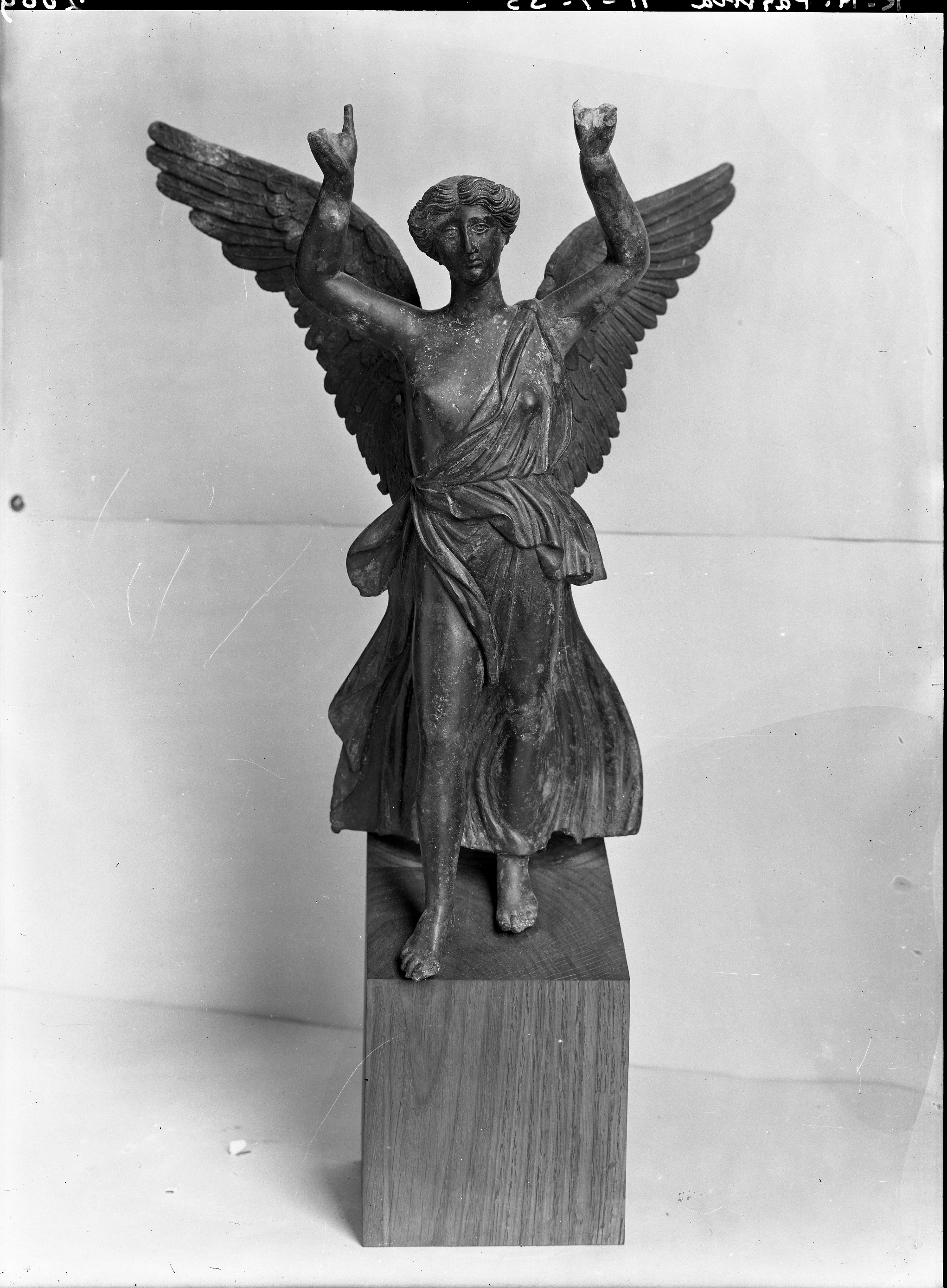 Parma. Museo (lastra) di Anonimo (prima metà XX)