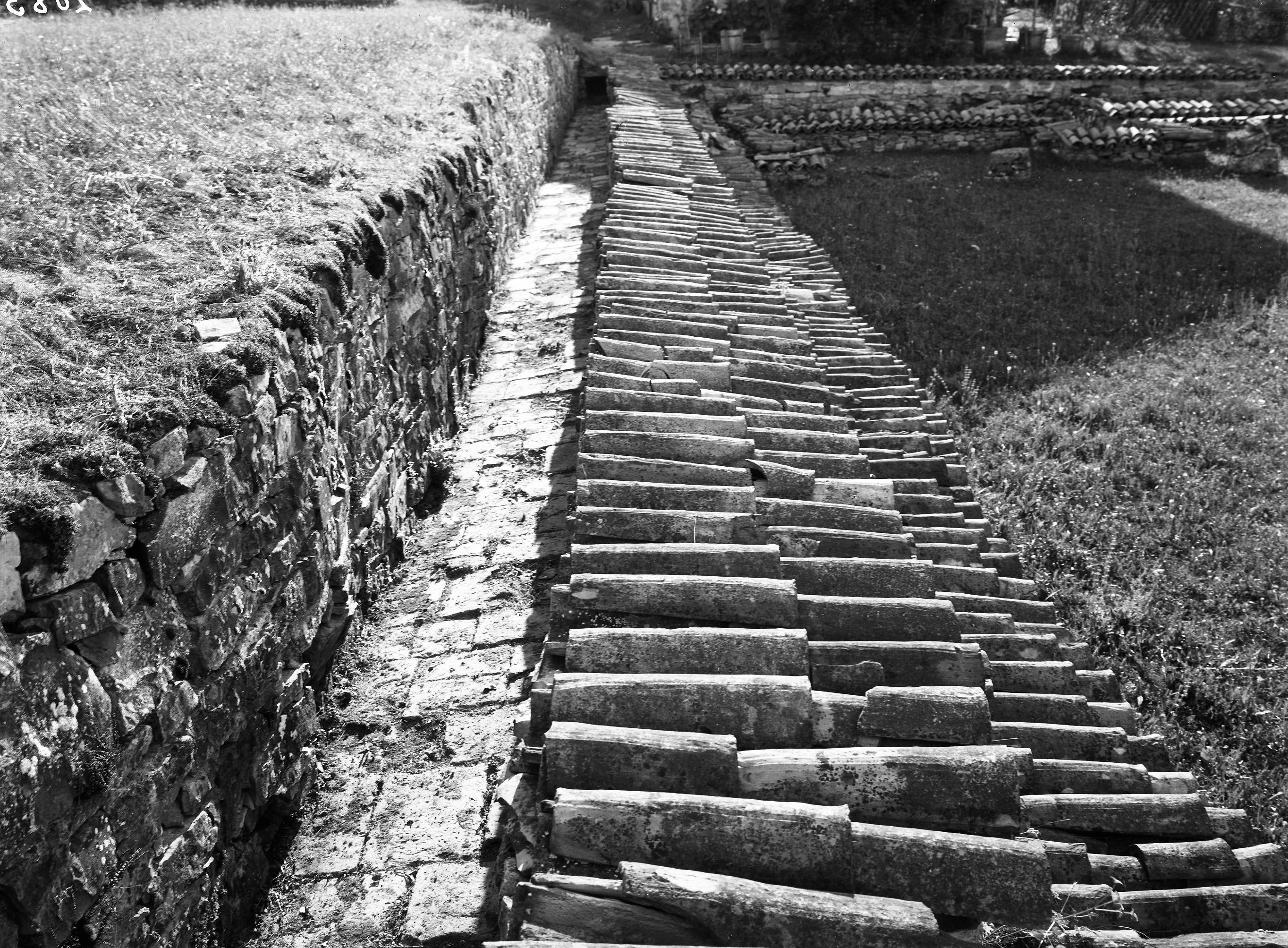 Velleia (lastra) di Anonimo (prima metà XX)