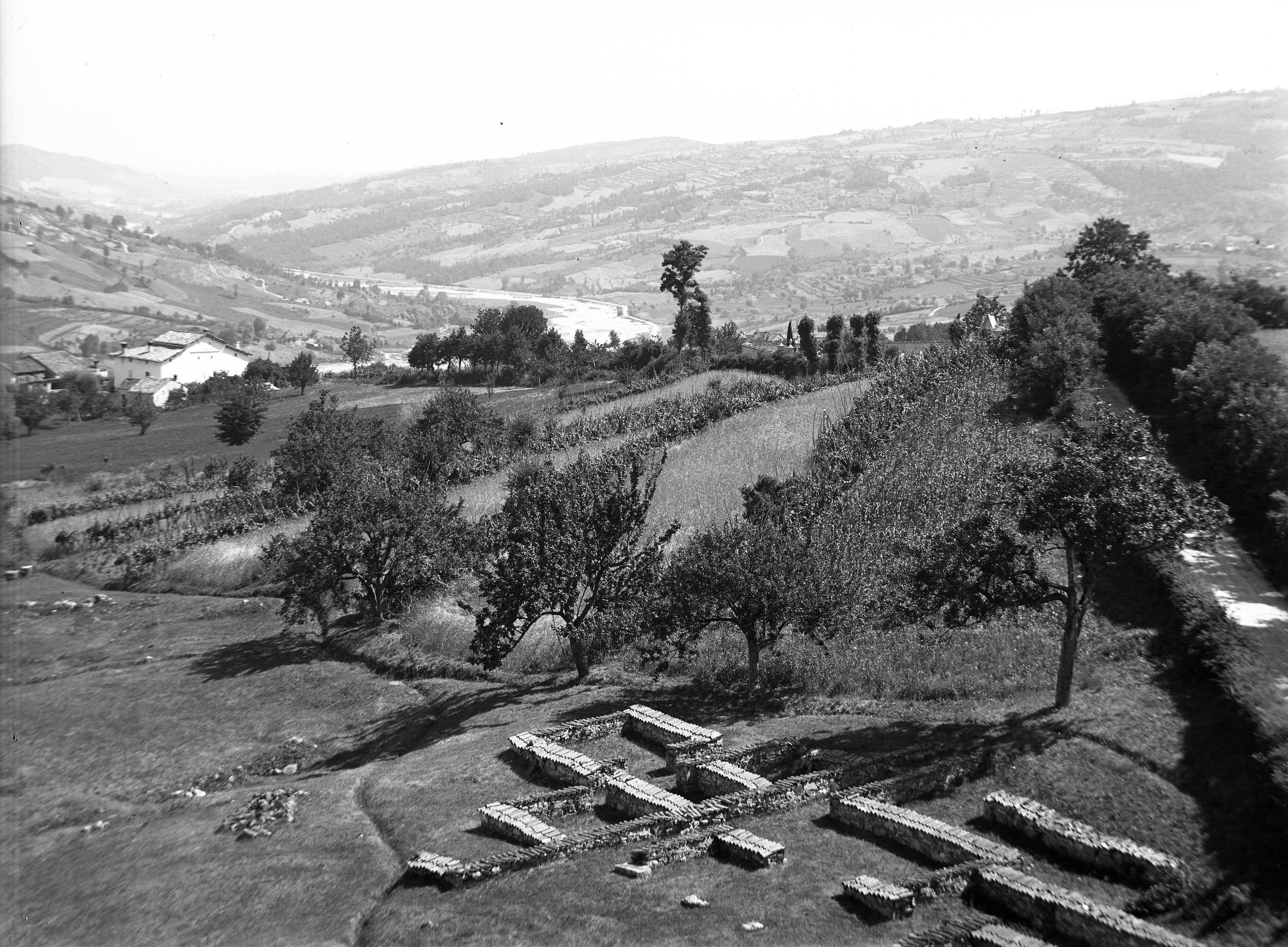 Velleia (lastra) di Anonimo (prima metà XX)