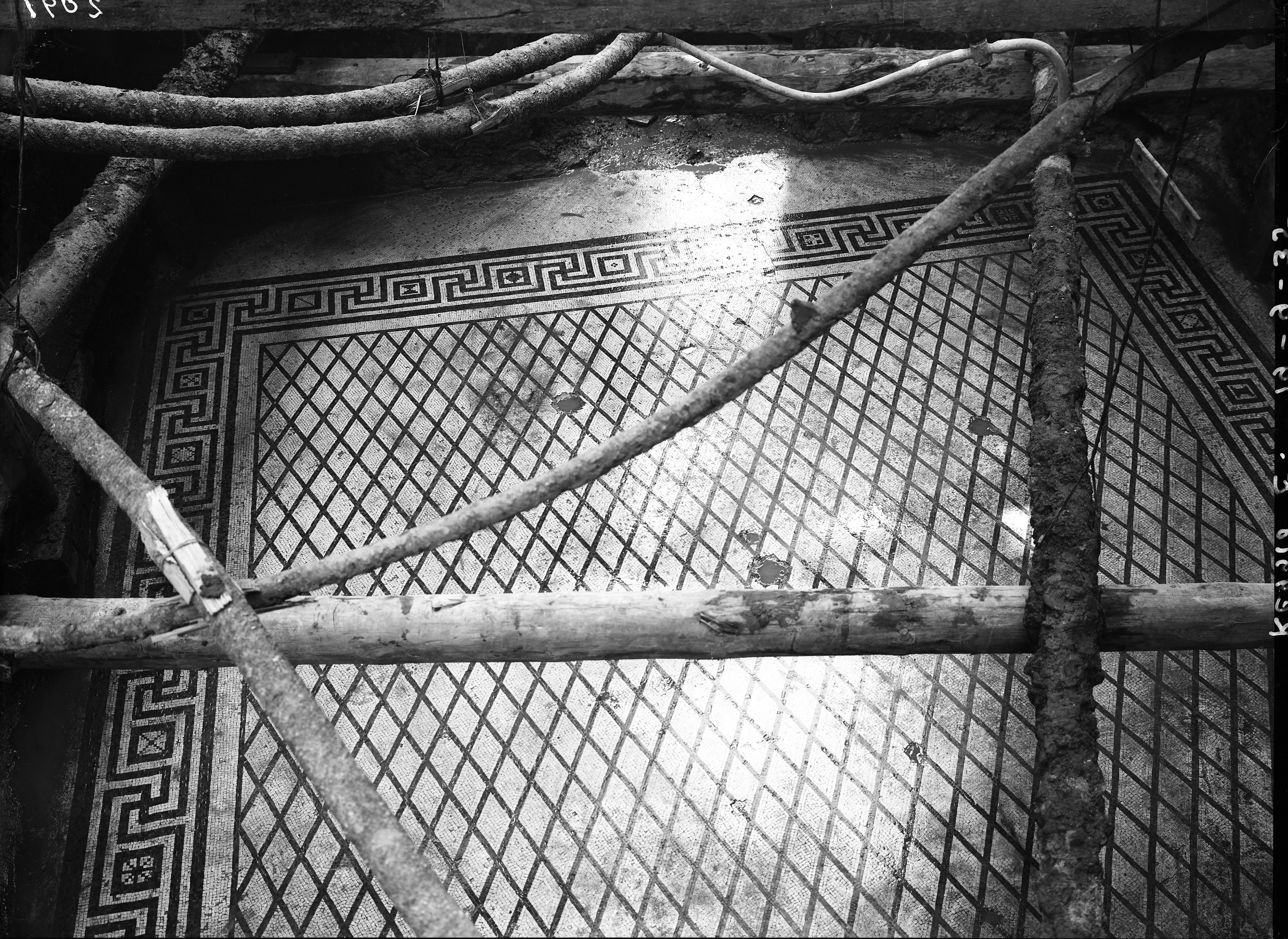 Reggio Emilia (lastra) di Anonimo (prima metà XX)