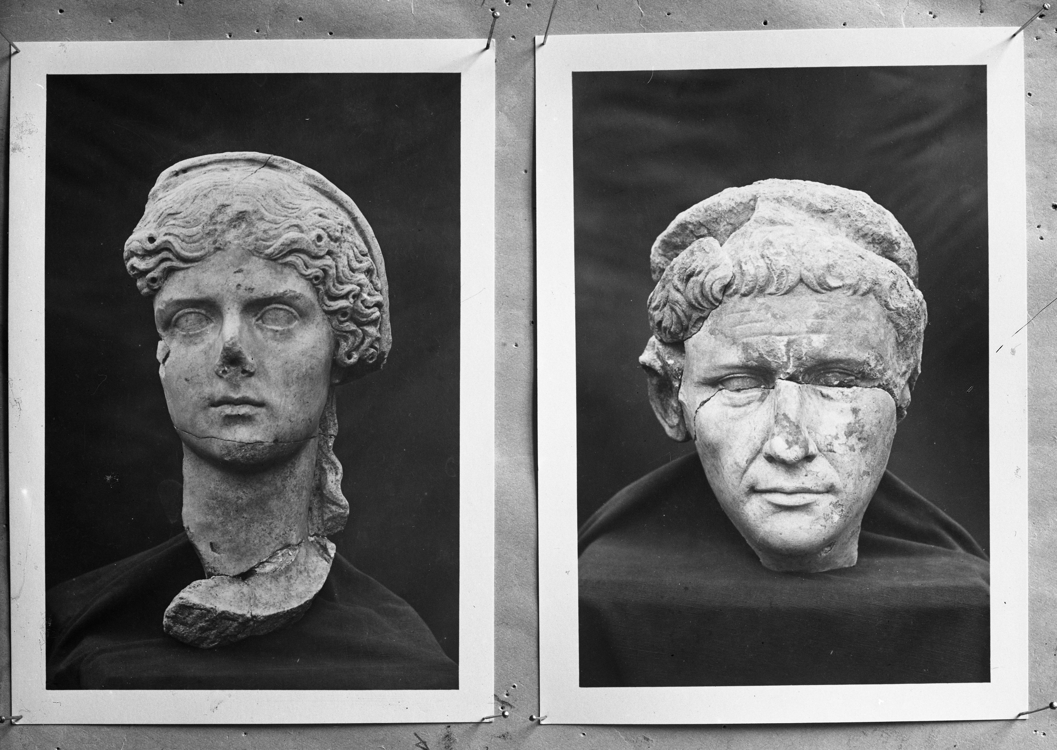 Parma (lastra) di Anonimo (prima metà XX)