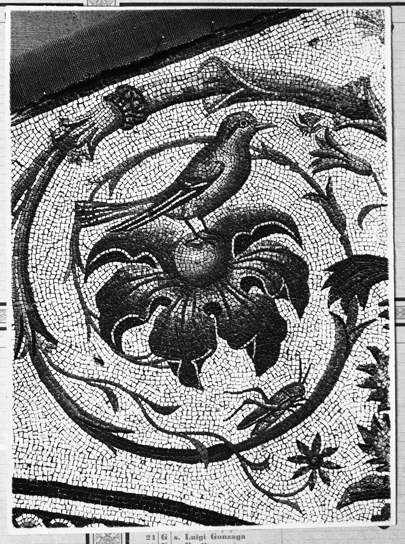 Roma Ara Pacis (lastra) di Anonimo (prima metà XX)