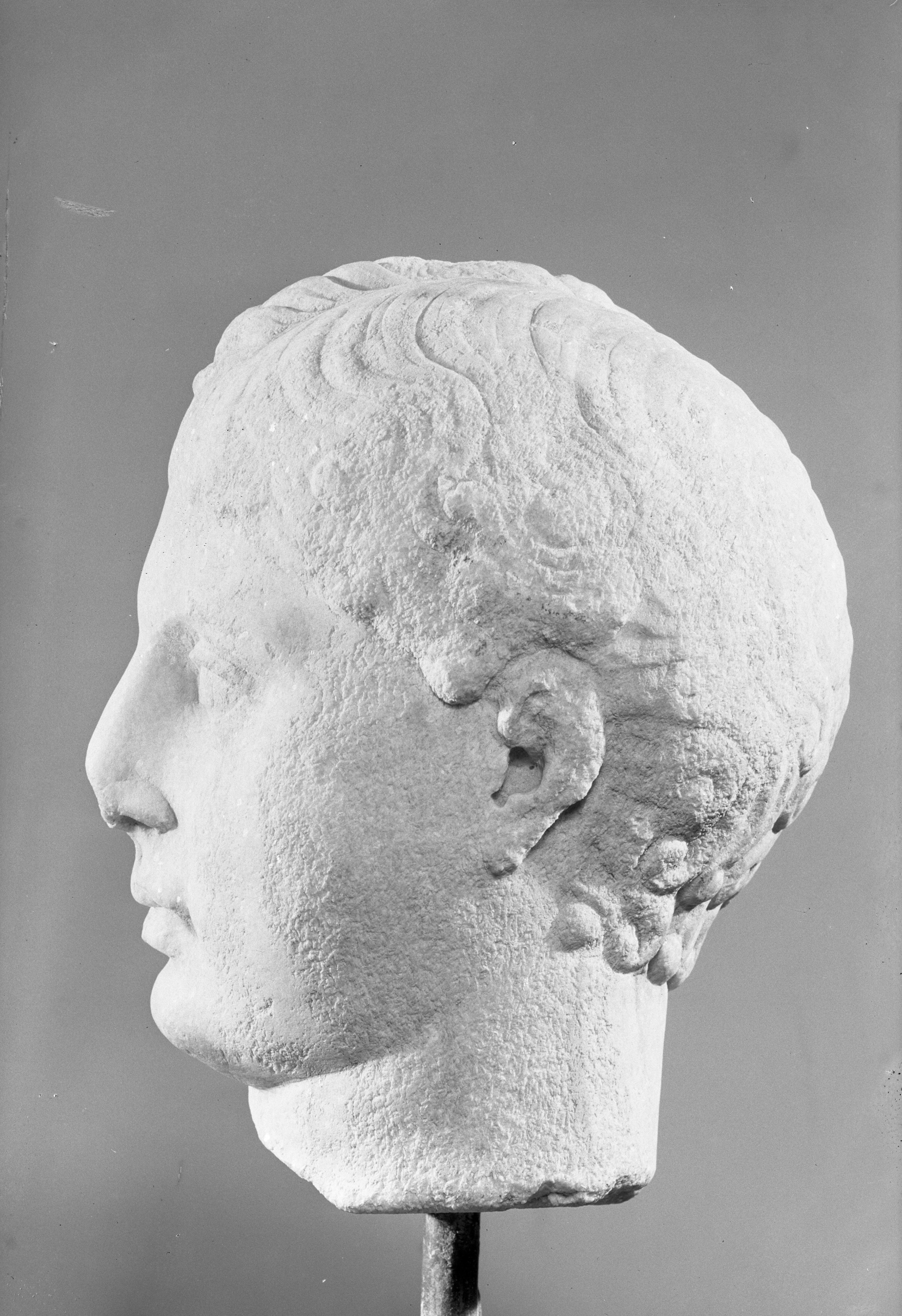 Forlì. Museo civico (lastra) di Anonimo (prima metà XX)