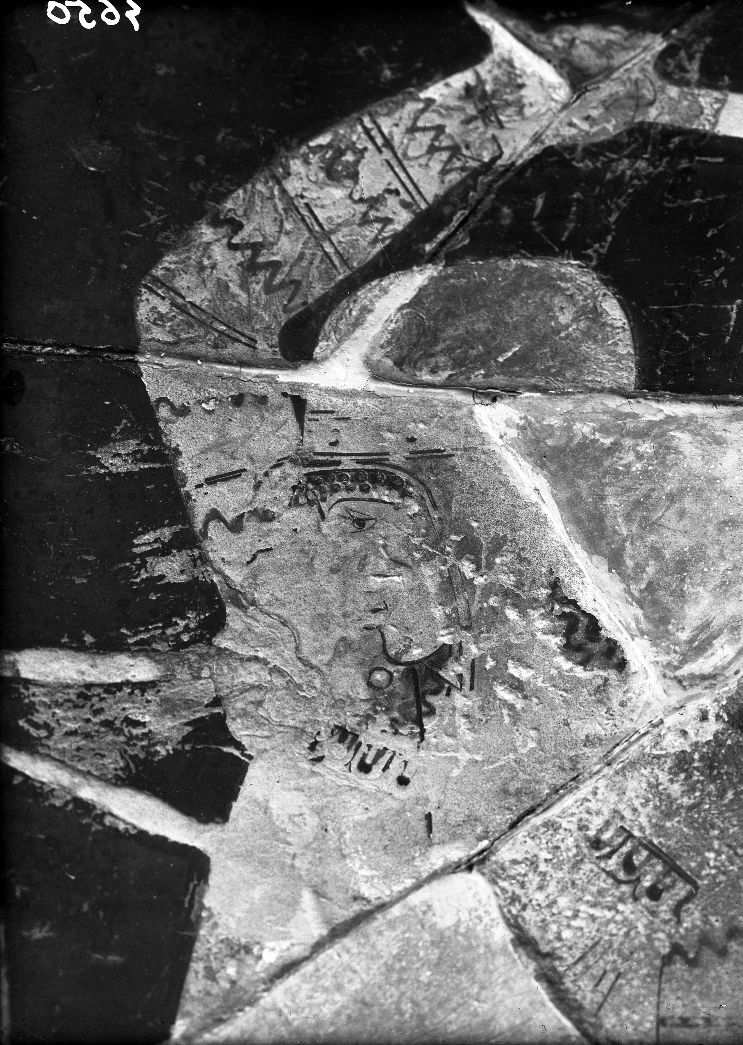 Ferrara. Museo Nazionale (lastra) di Anonimo (prima metà XX)