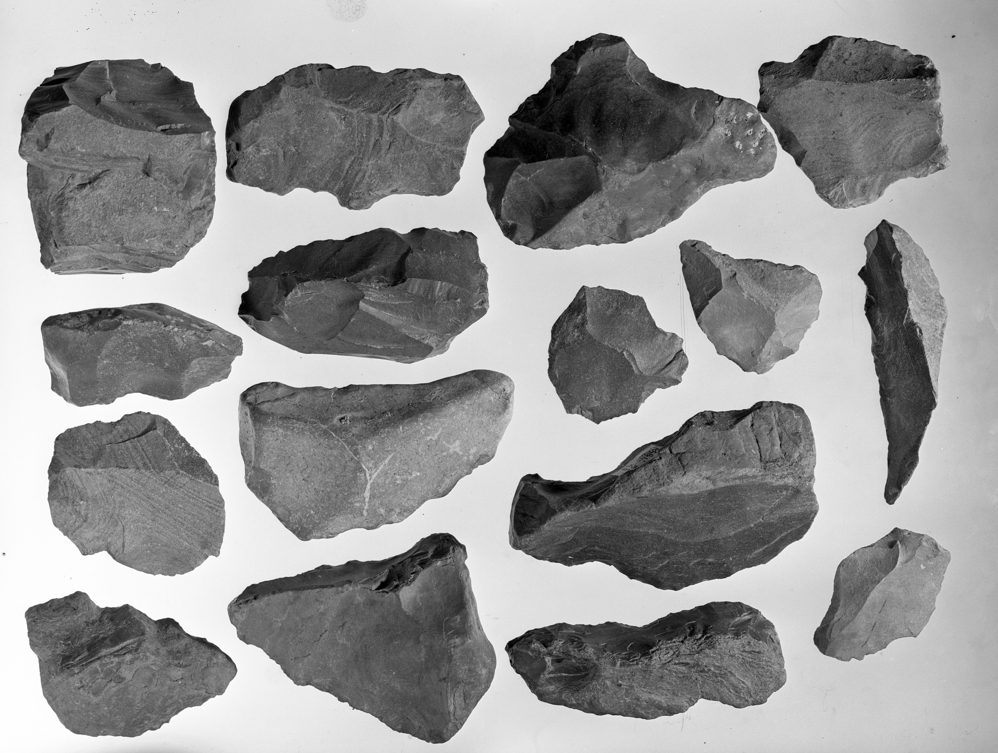 Bologna (lastra) di Anonimo (prima metà XX)