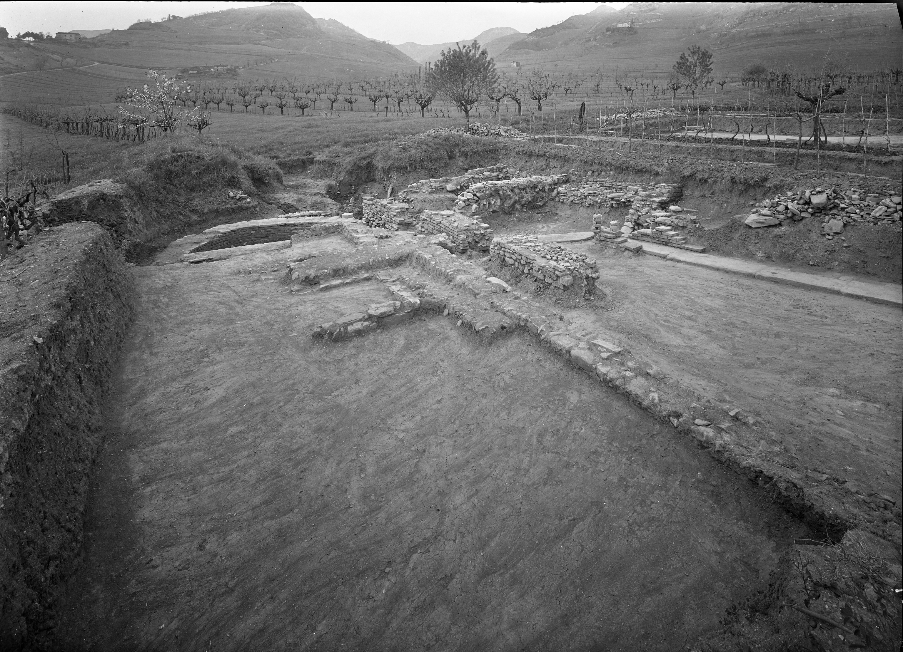 Galeata (Forlì) (lastra) di Anonimo (prima metà XX)