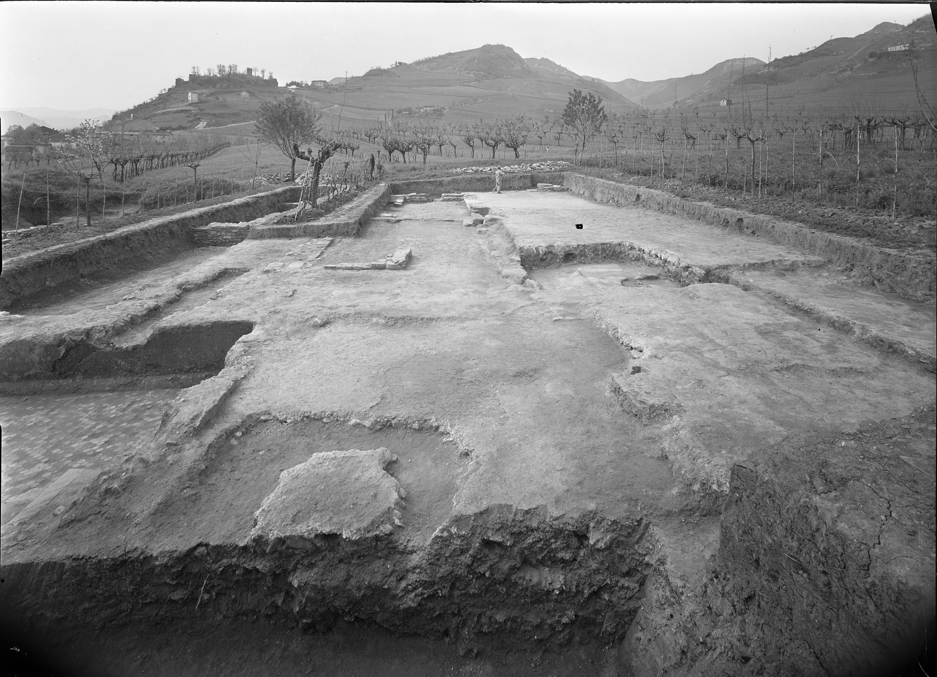 Galeata (Forlì) (lastra) di Anonimo (prima metà XX)