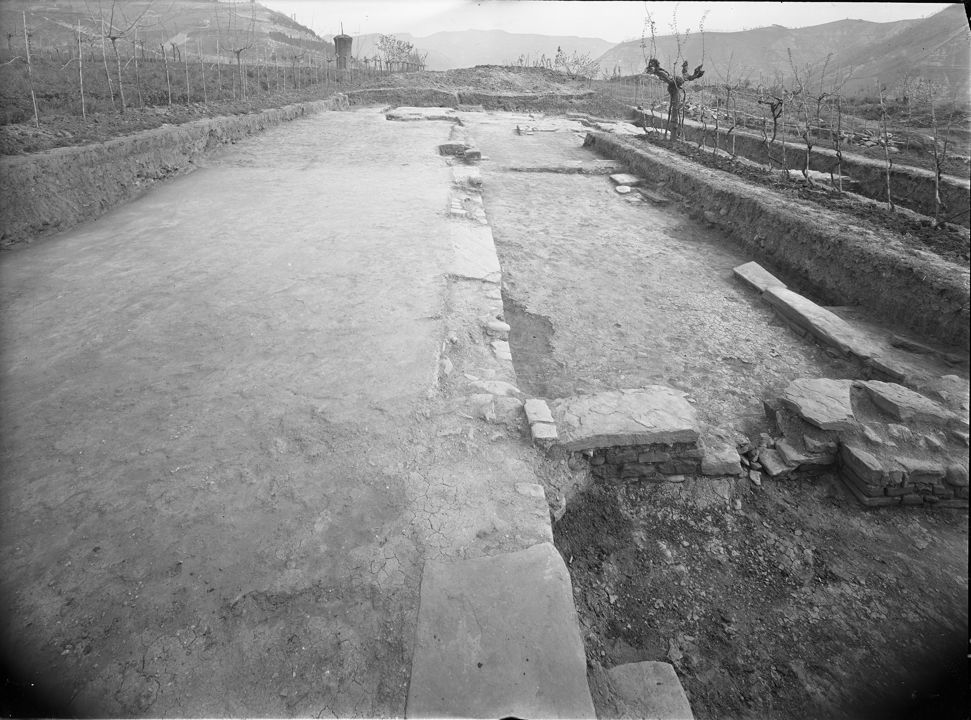 Galeata (Forlì) (lastra) di Anonimo (prima metà XX)