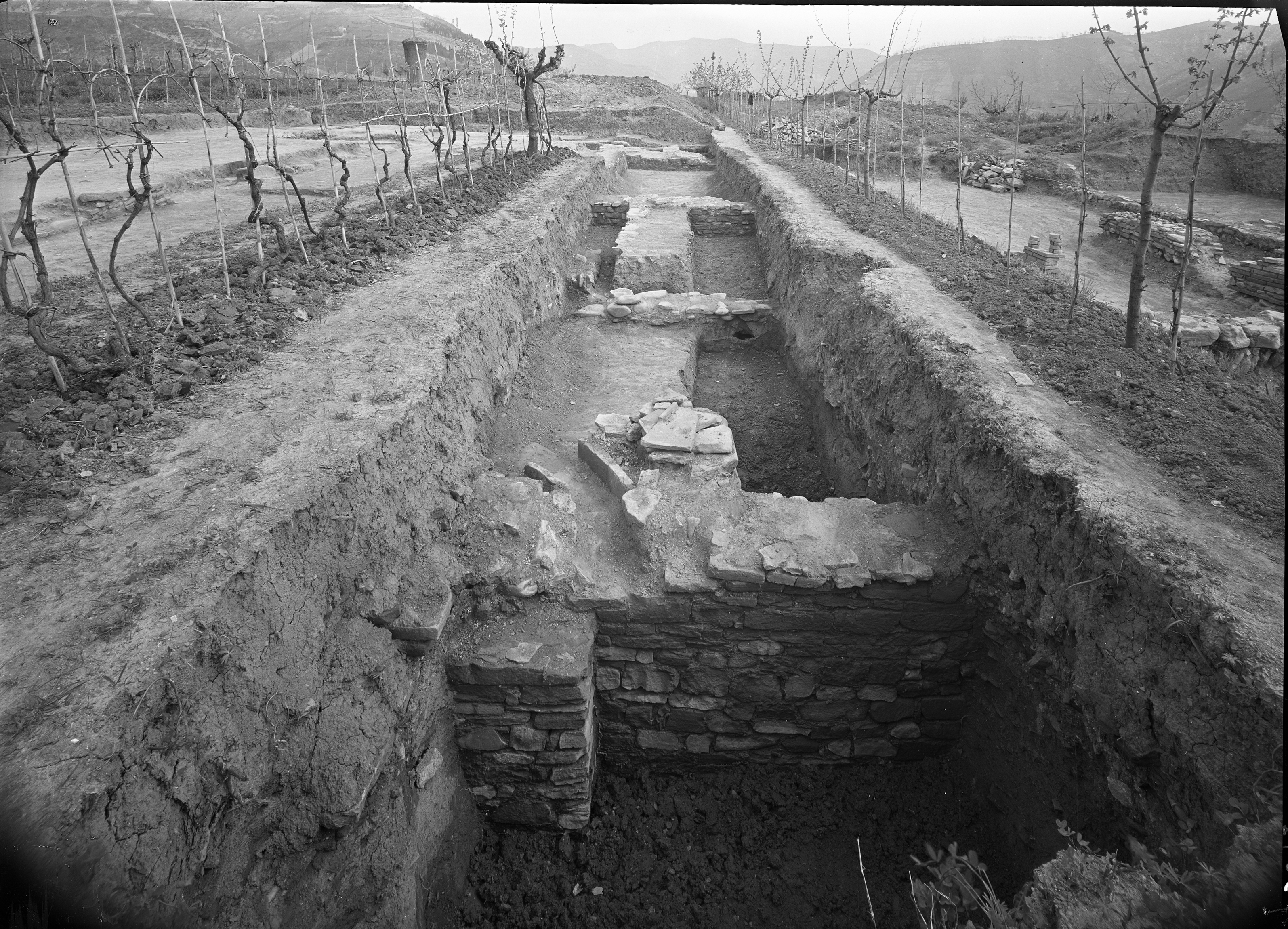 Galeata (Forlì) (lastra) di Anonimo (prima metà XX)