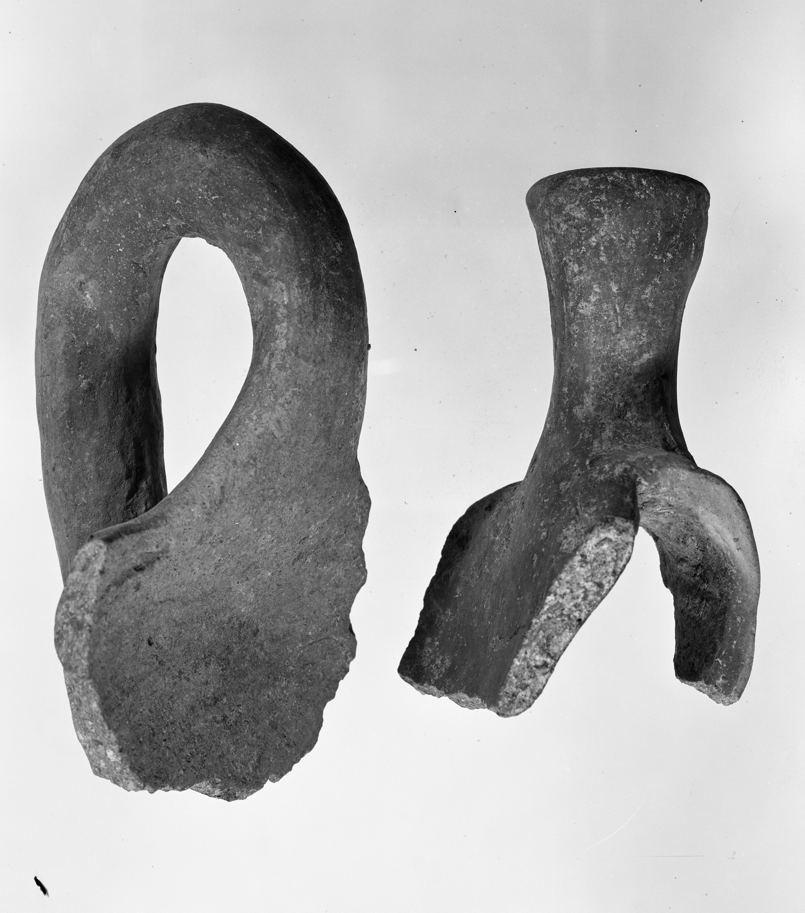 Gallo di Castel S. Pietro (lastra) di Anonimo (prima metà XX)